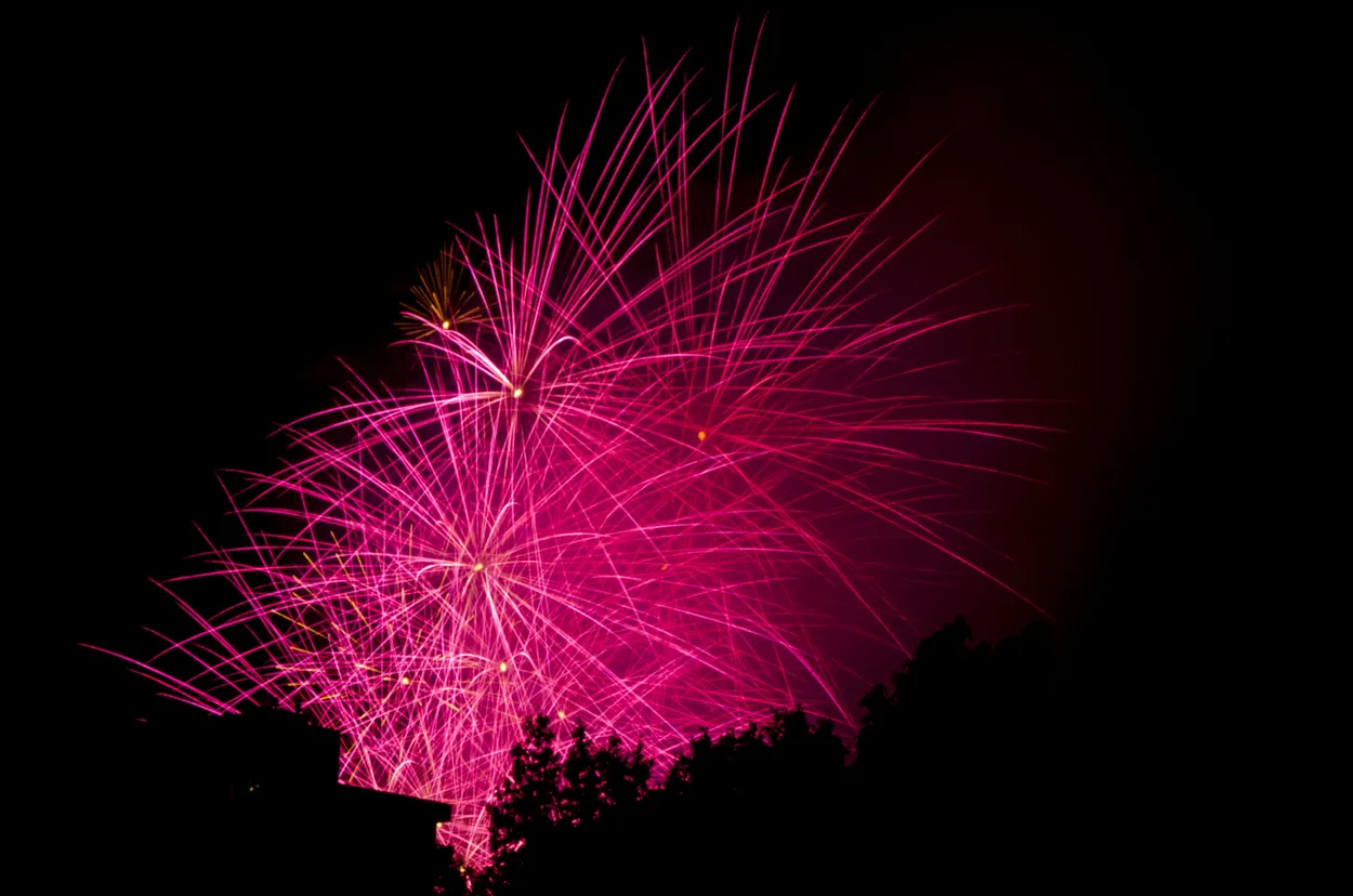 Entry 28494201