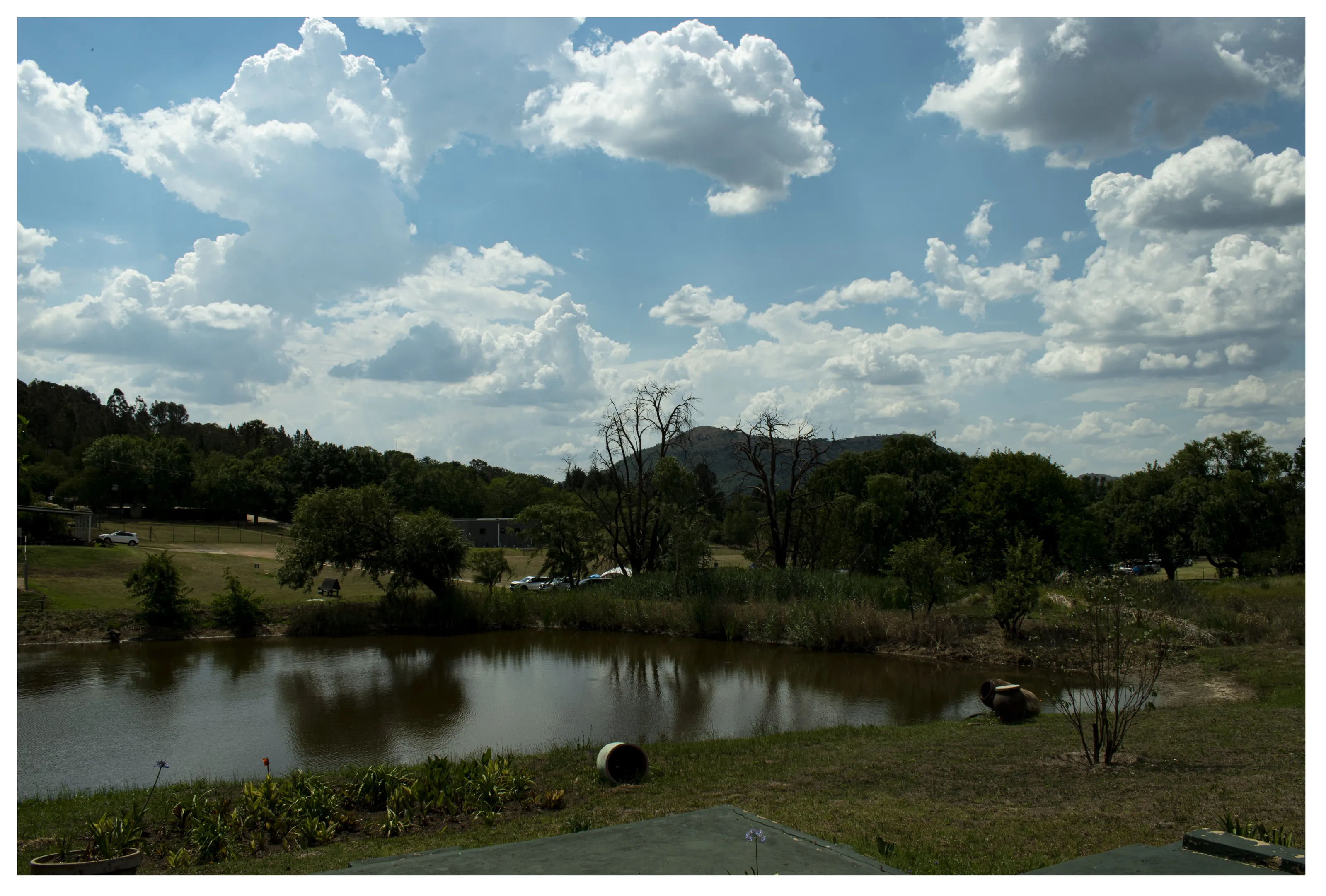 RSA family landscape