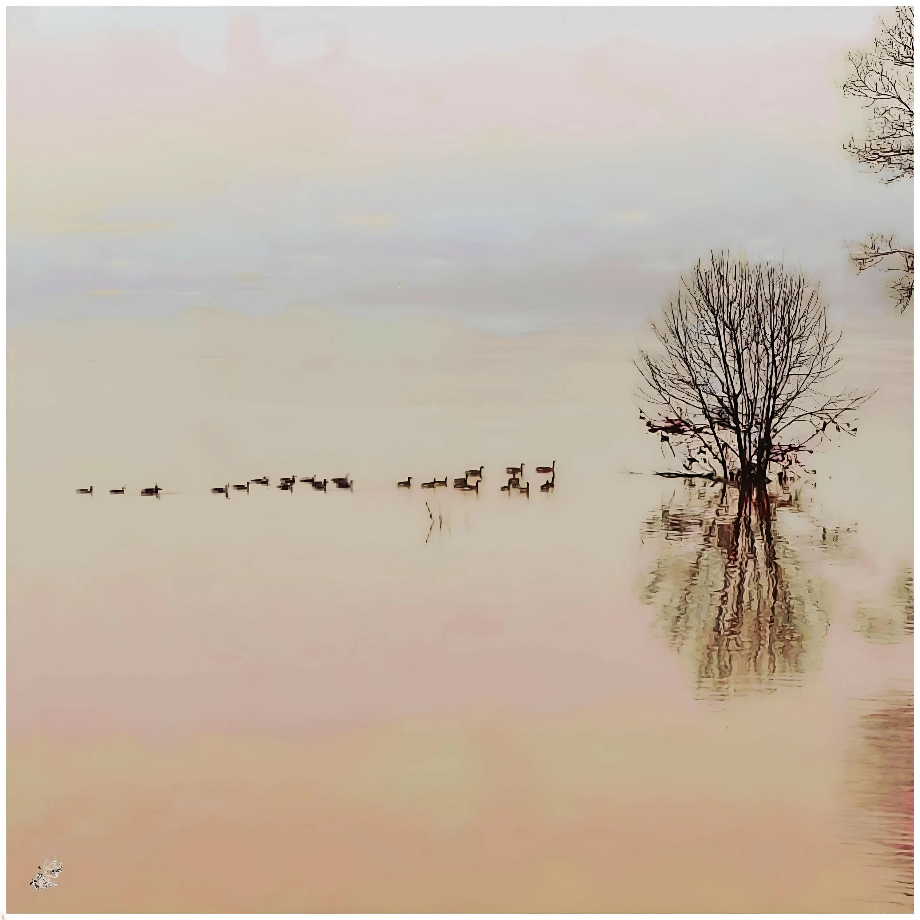 Crossing of Geese