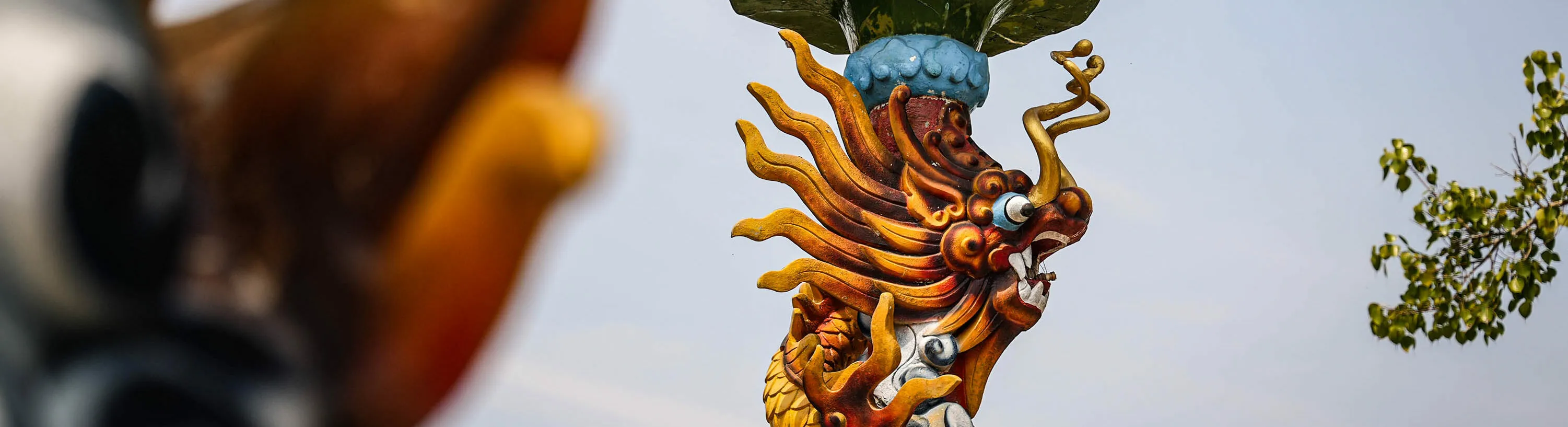 Coconut Religion's dragon
