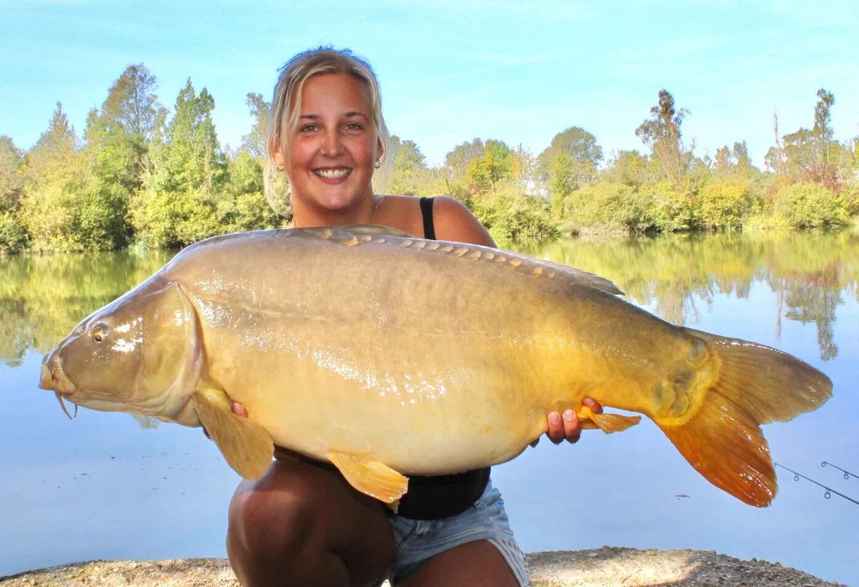 Entry 1173753