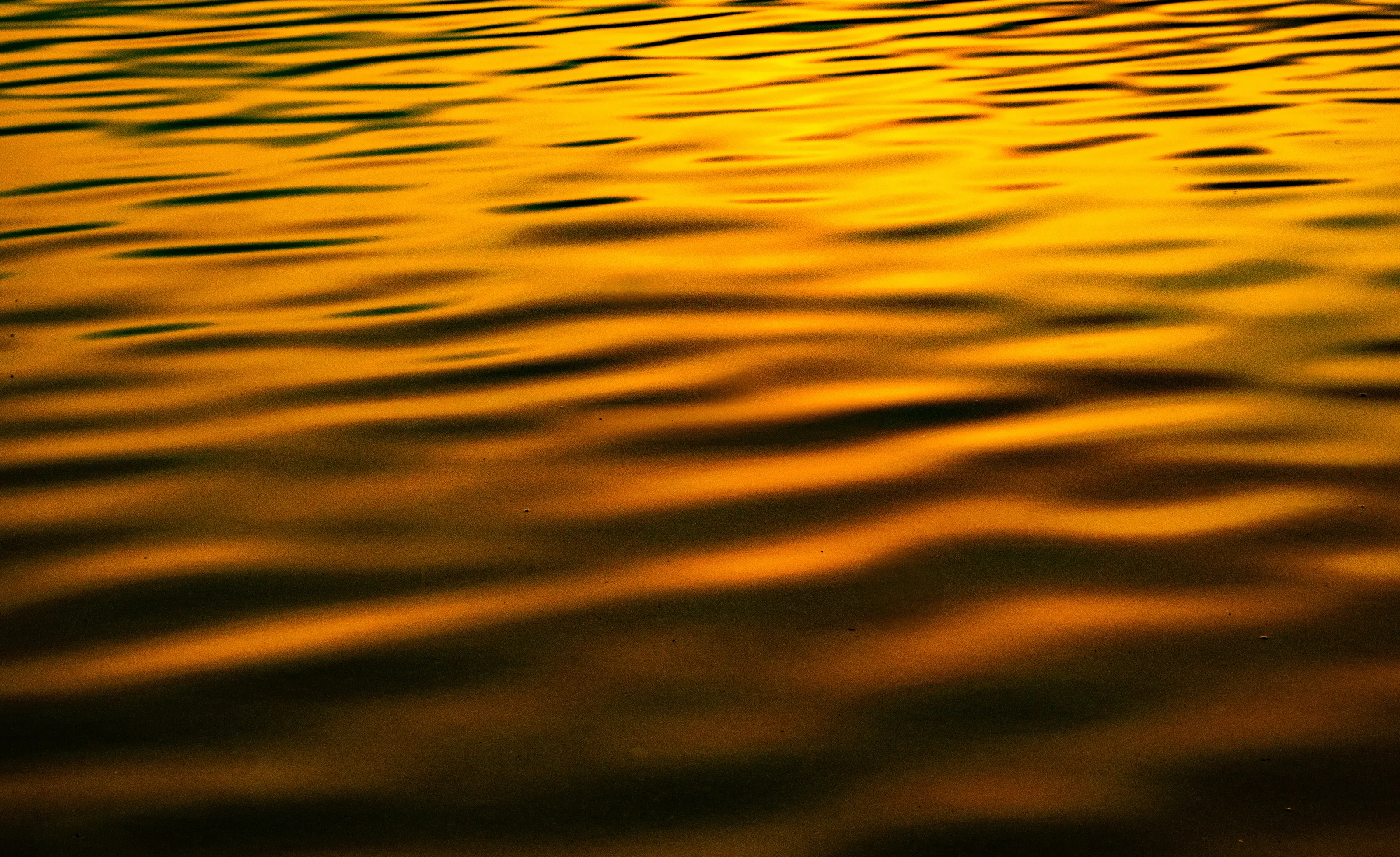 Golden Ripples