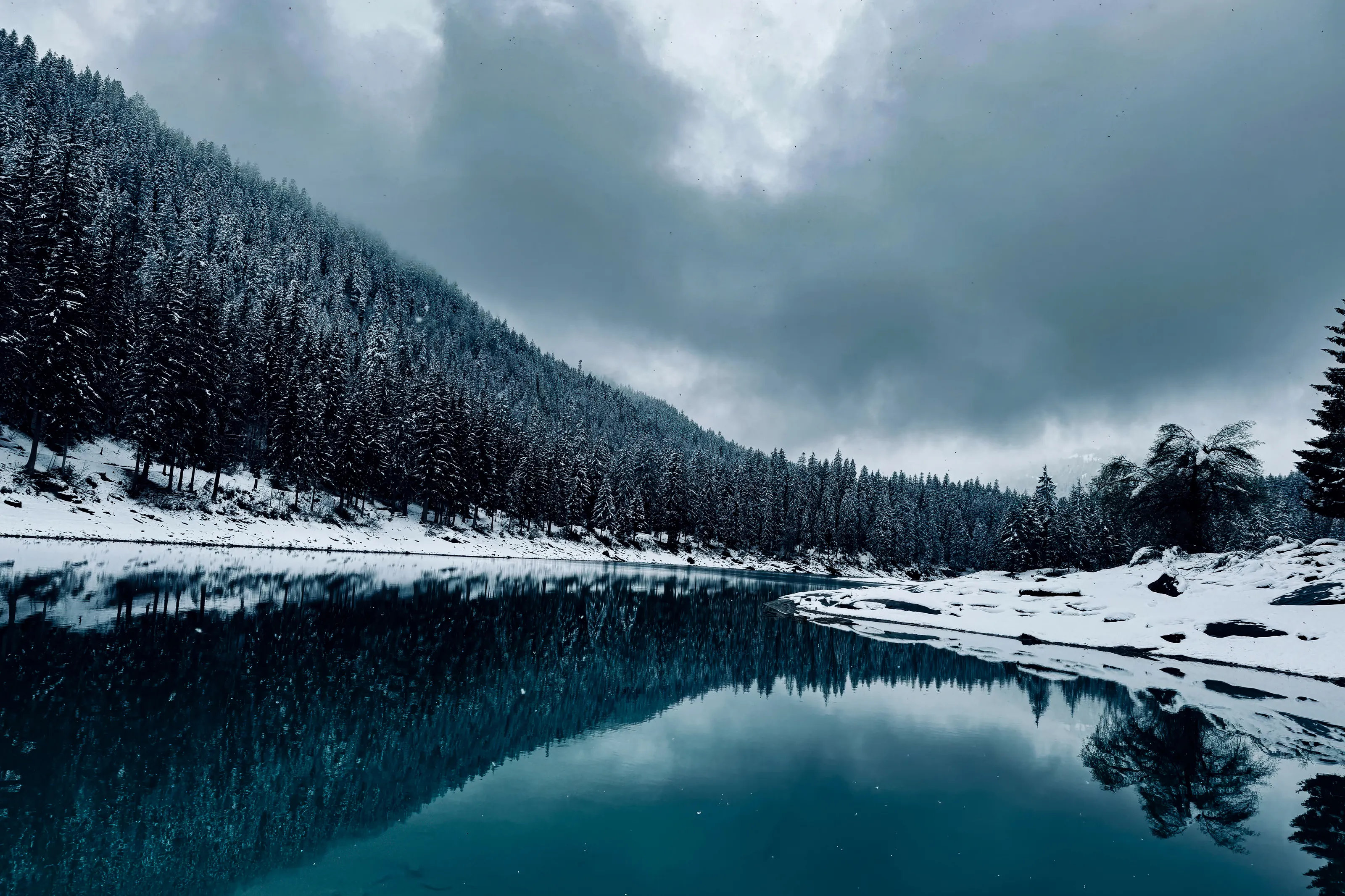 Moody Beauty