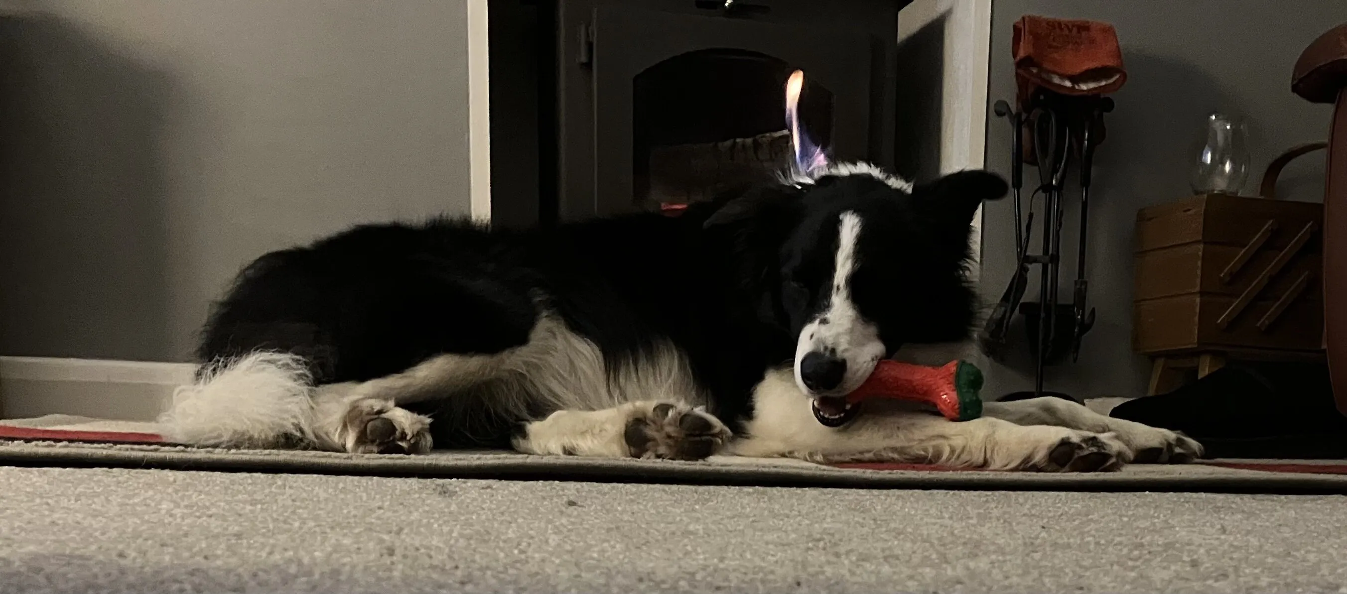 Warm after a long day