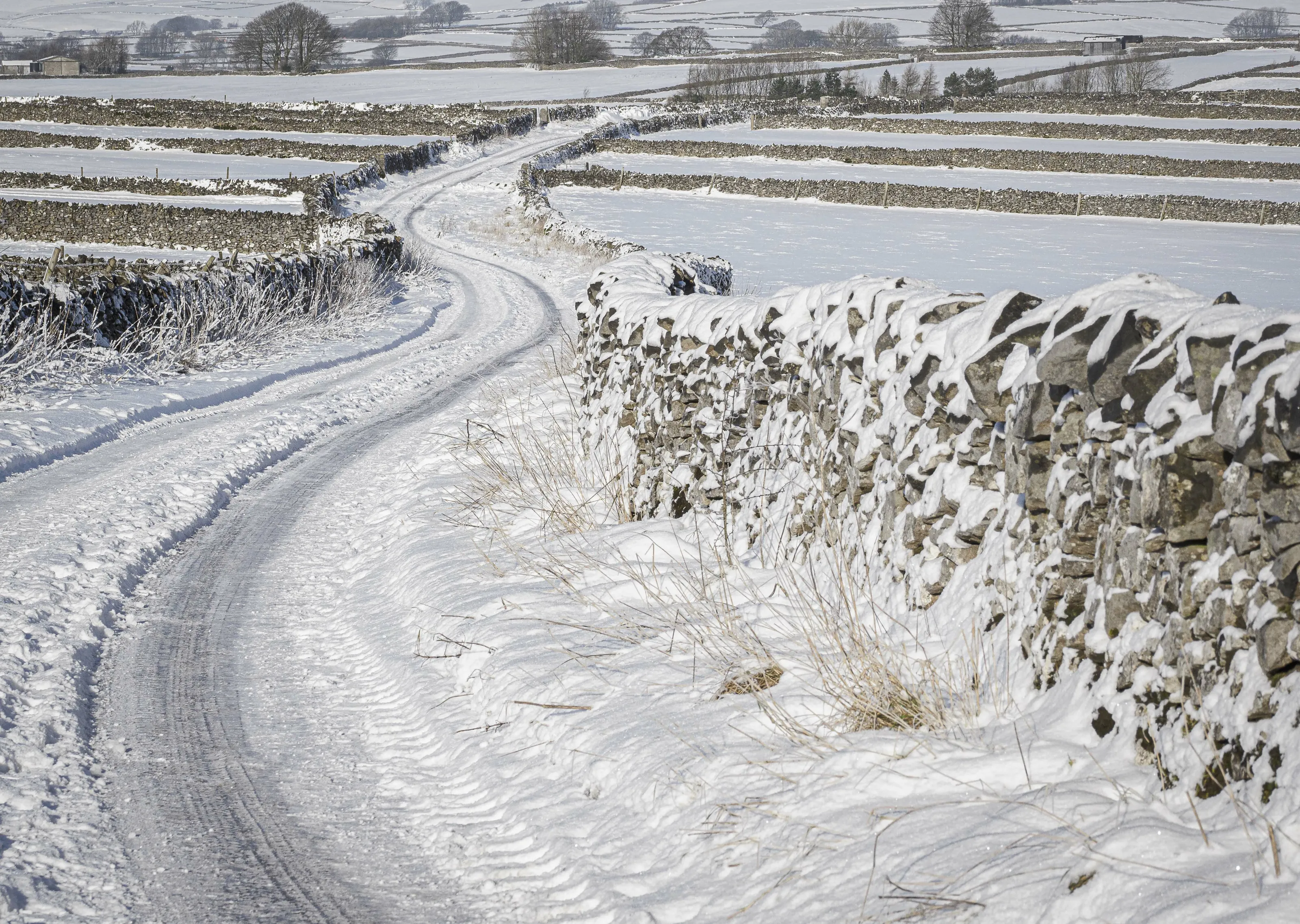 Snowy Lane