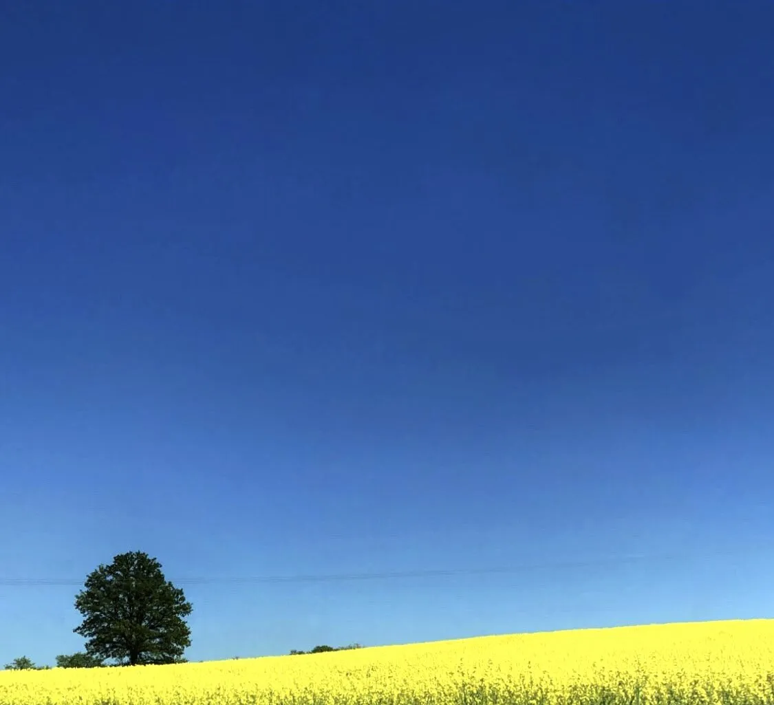Україна в природі ❣️