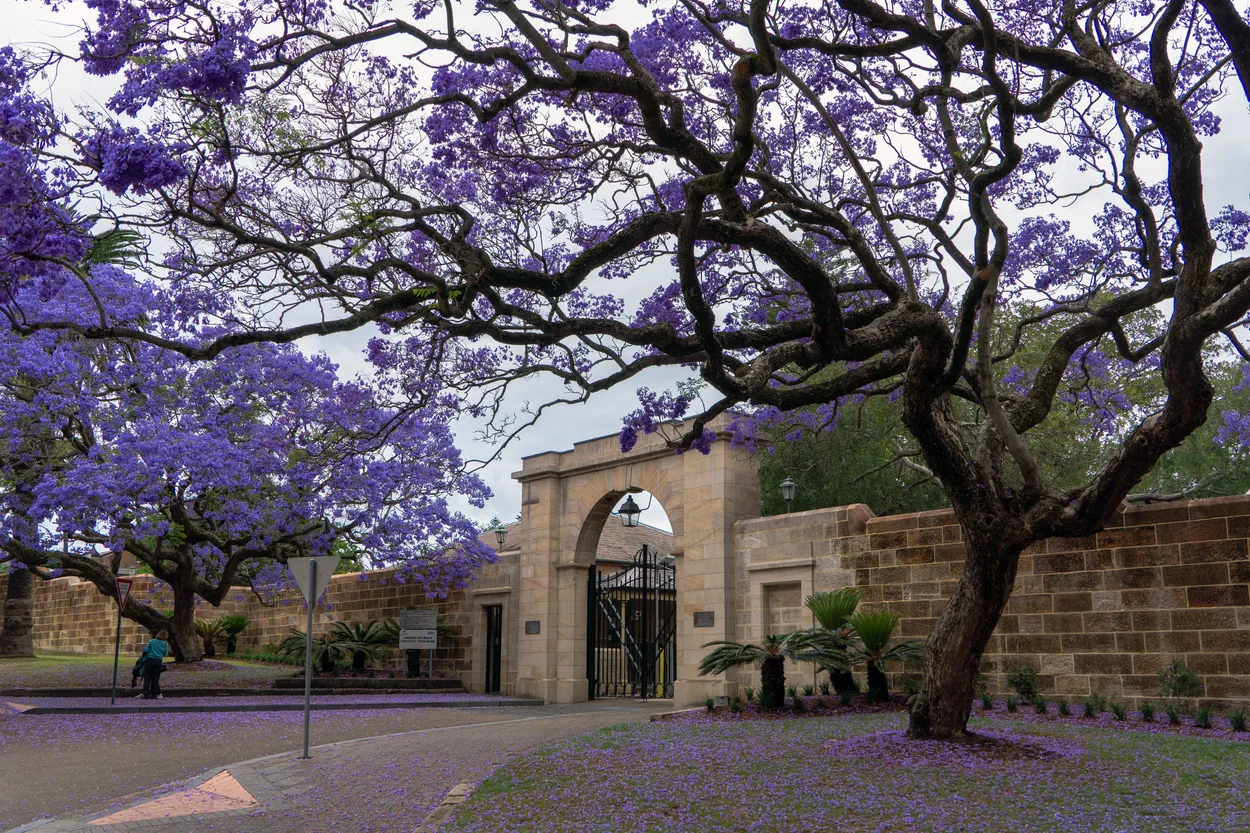 Entry 28783819