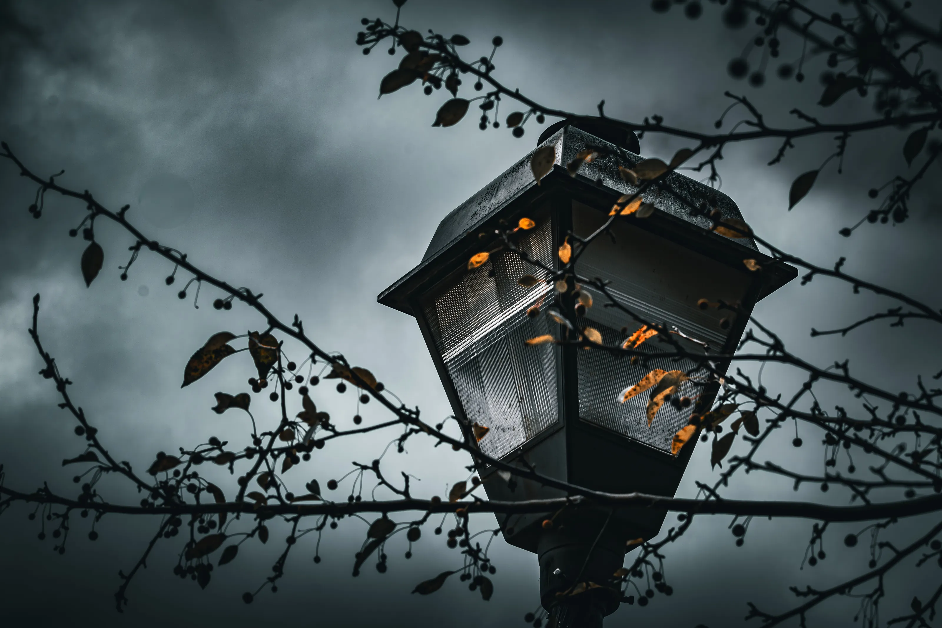 Street Lamp in Fall
