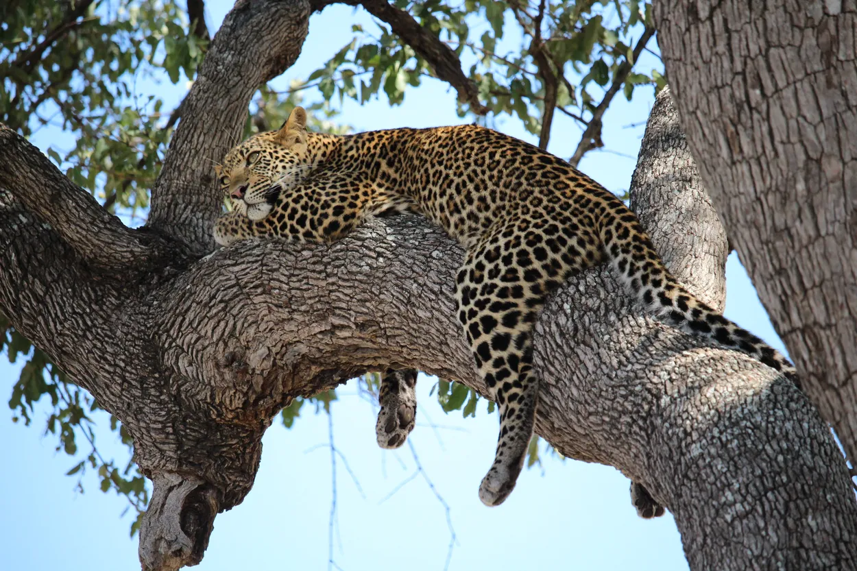 Entry 23416392