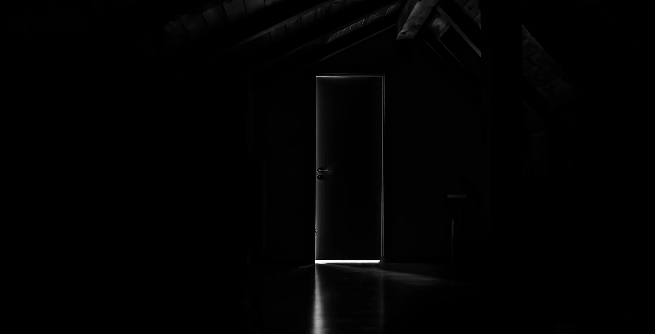 Entry 23420132