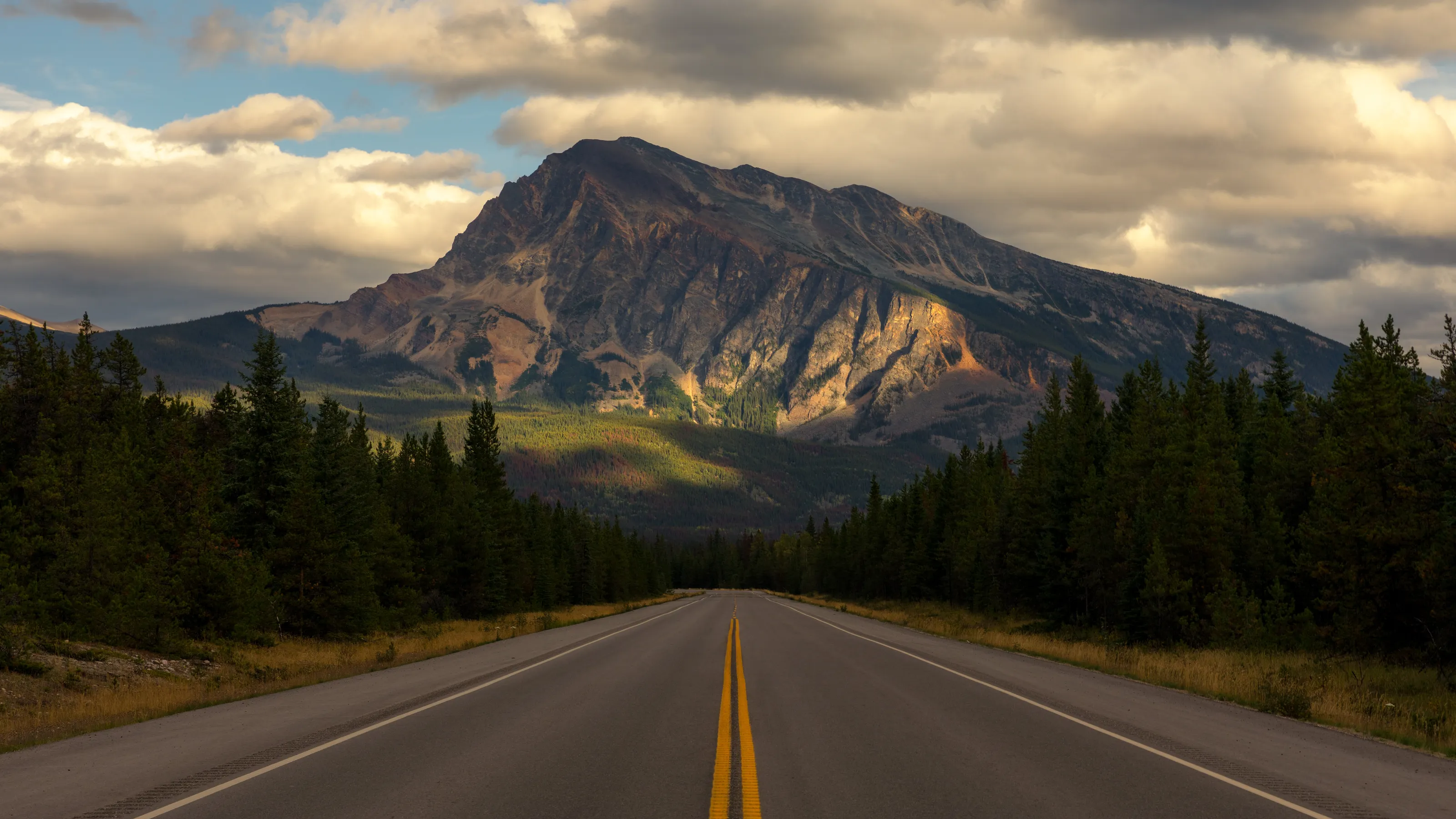 The Open Road