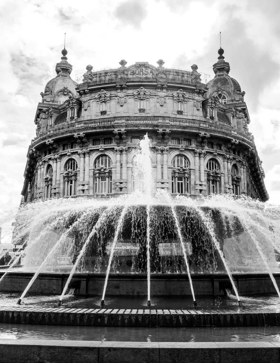 Entry 23431288