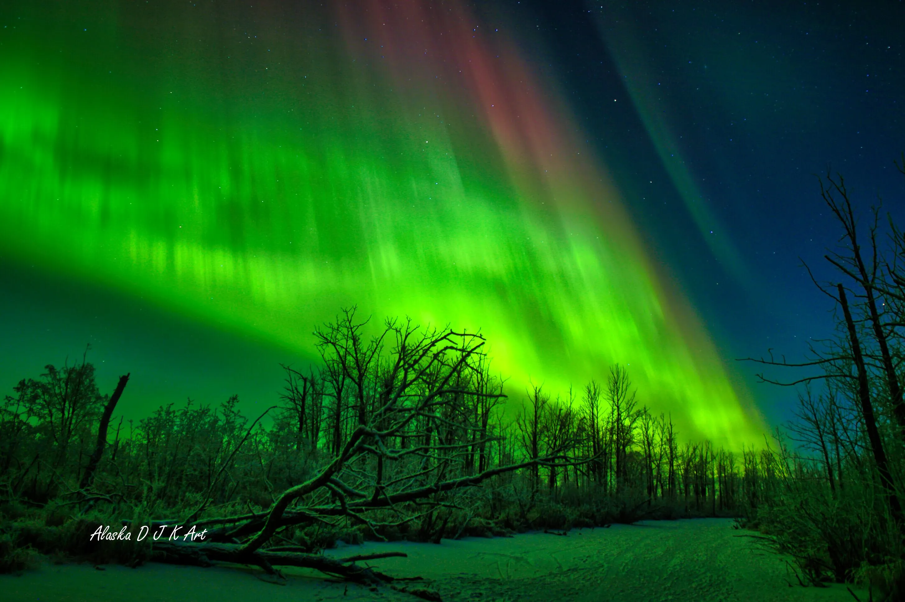 Winter Night in Alaska