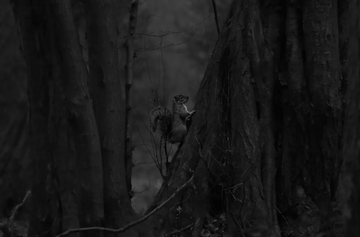 A Moment of Stillness