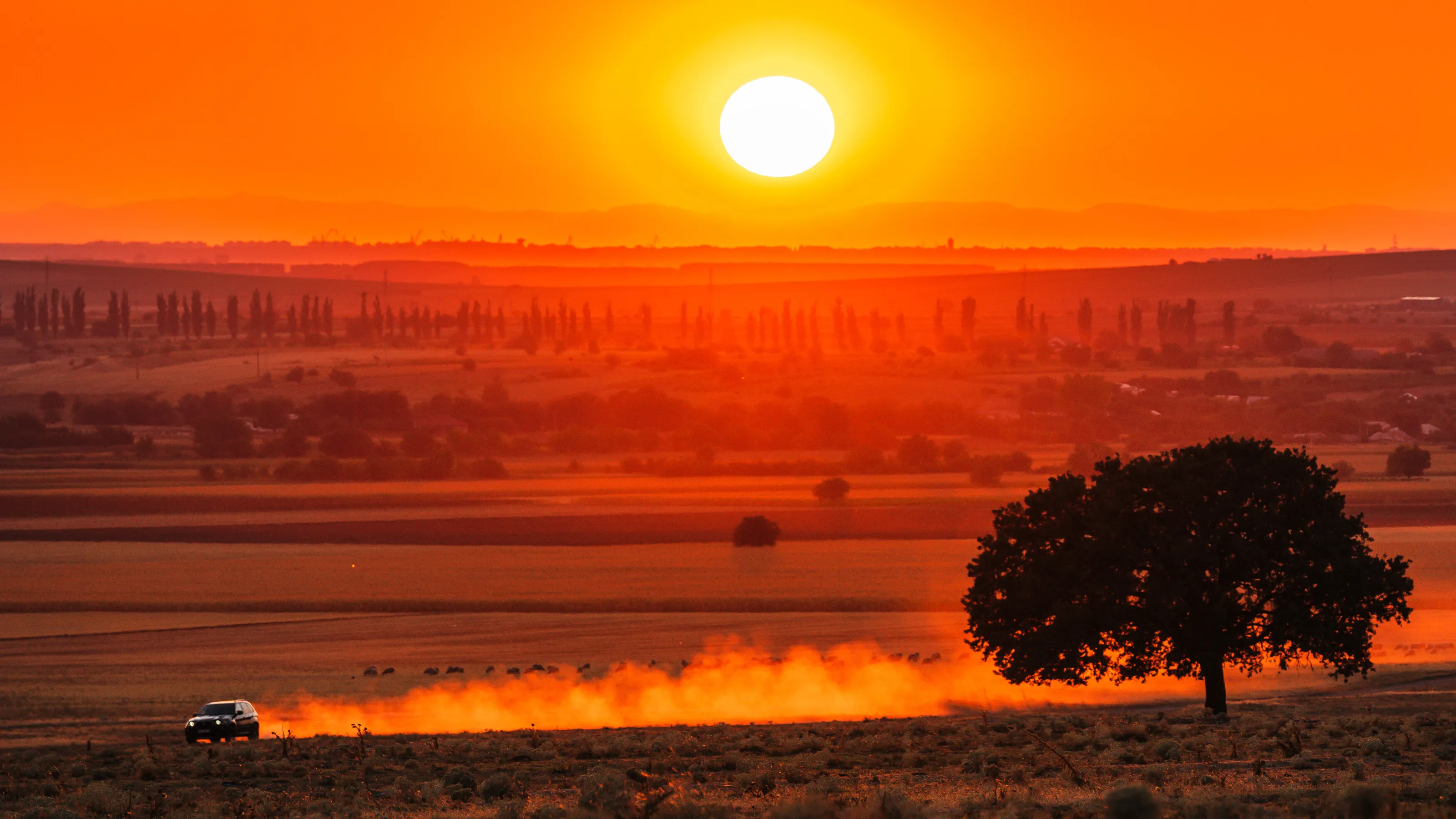 Sunset