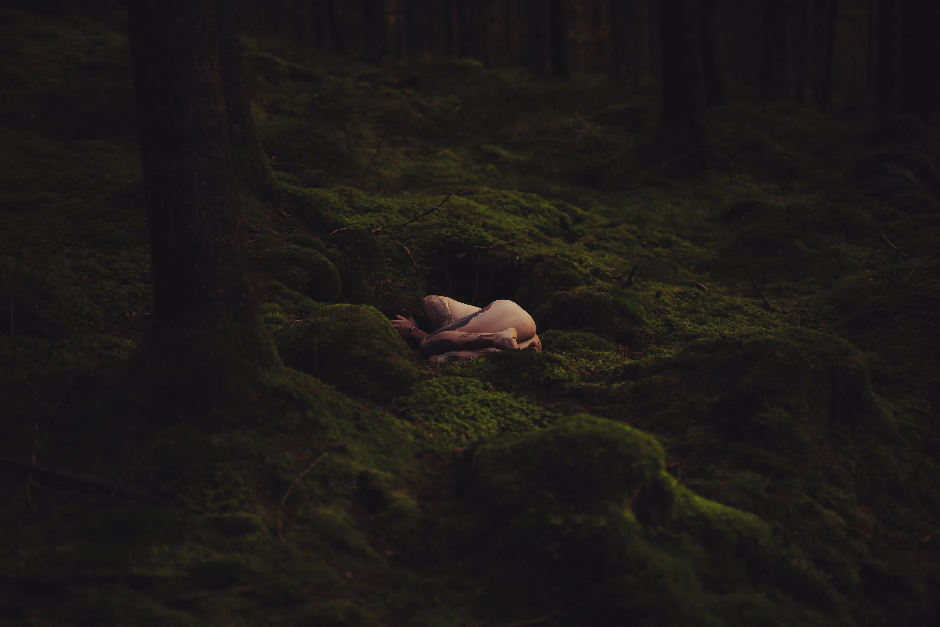 Rebirth in Natur
