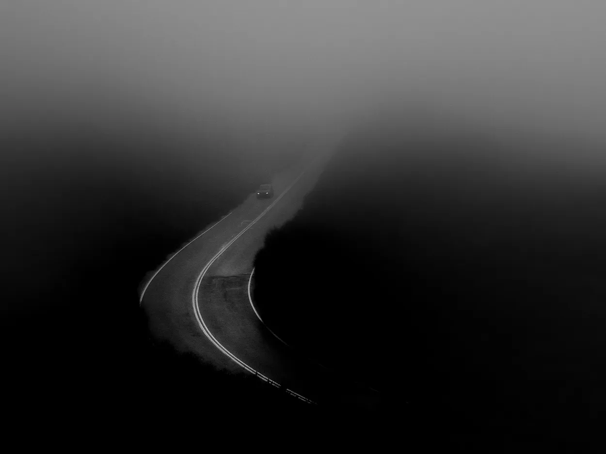 Entry 1178995