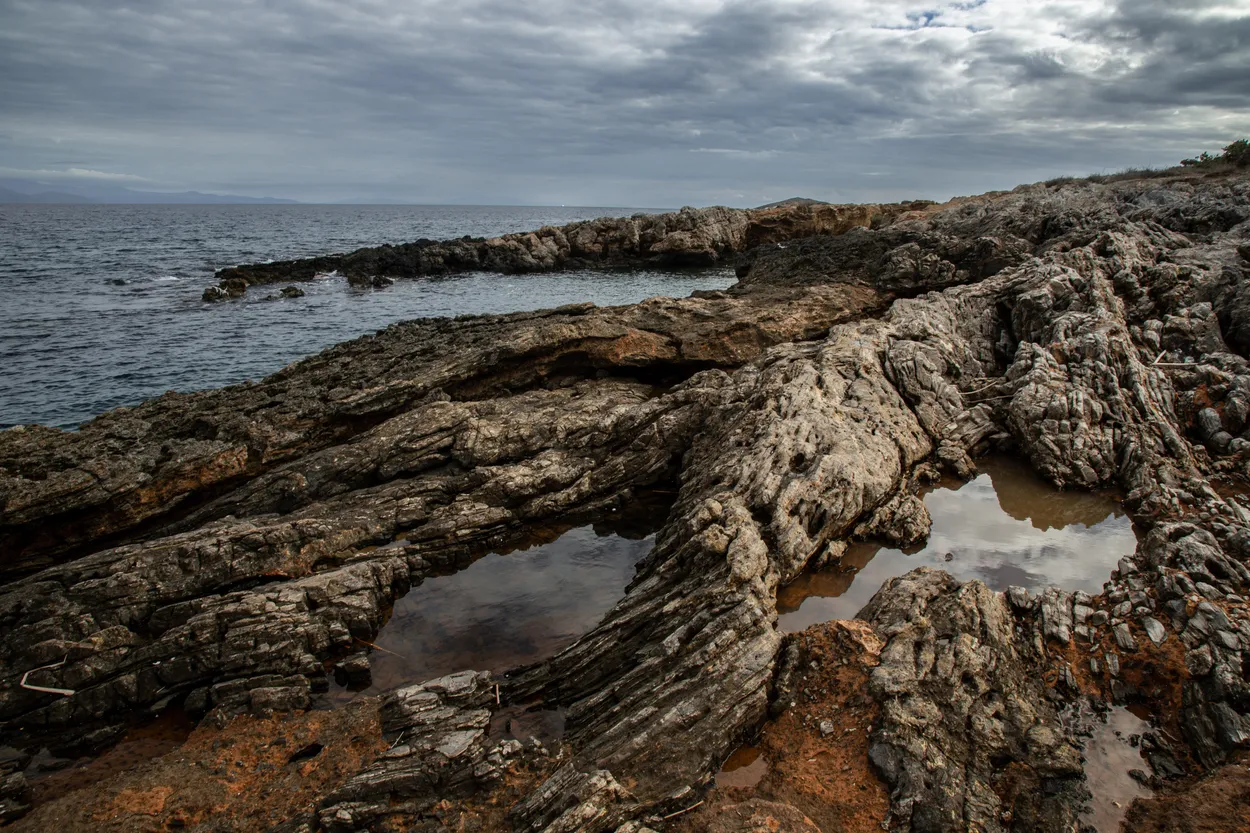 Nature's texture