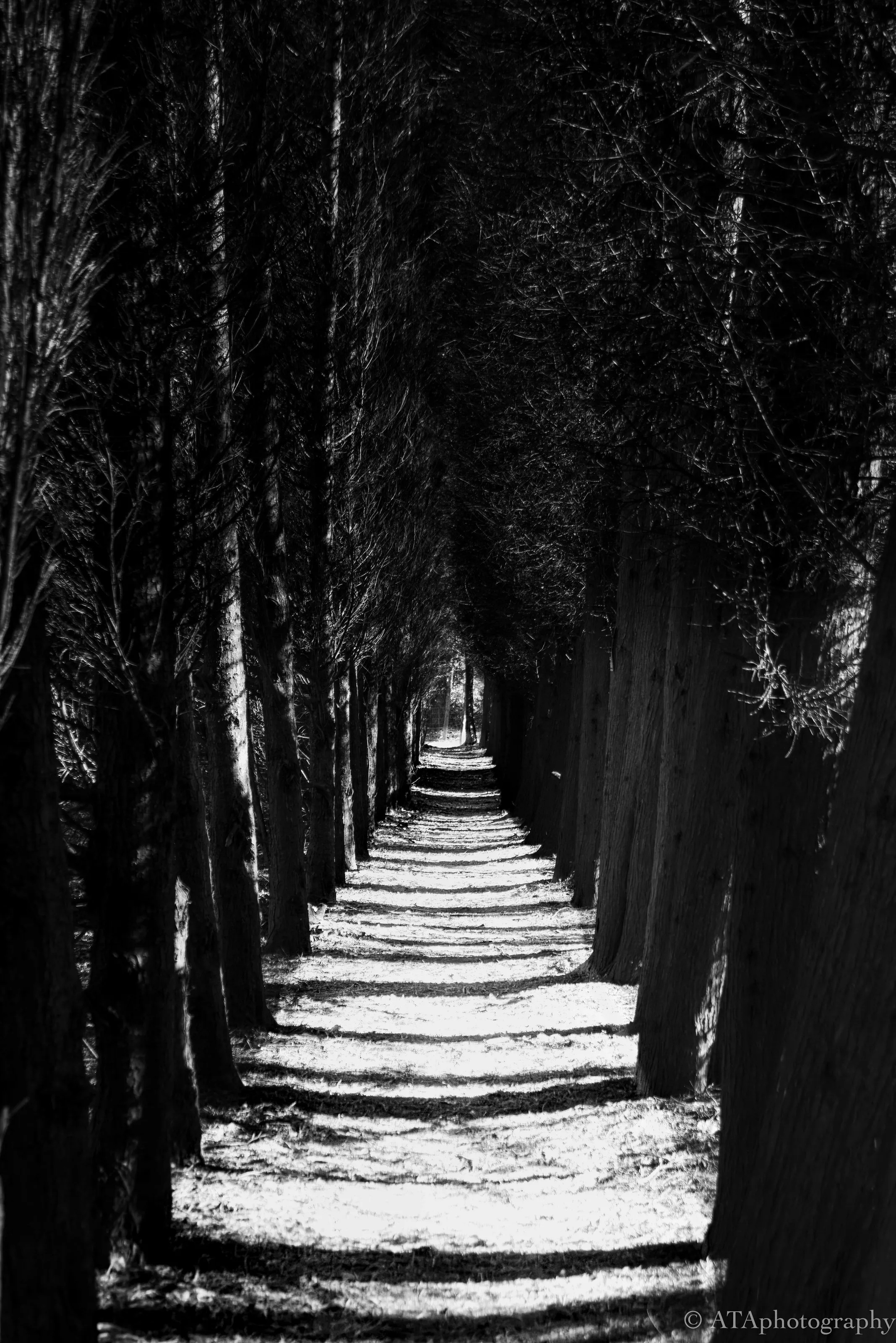 secret path