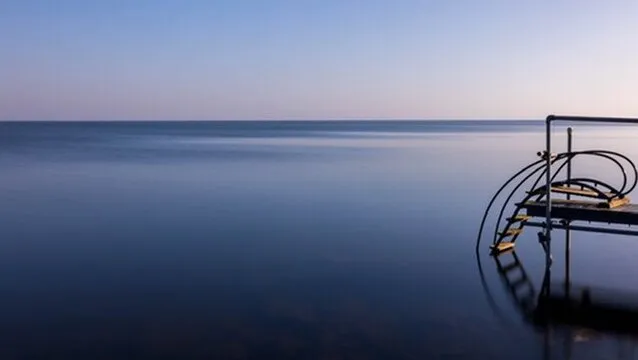 The Portal