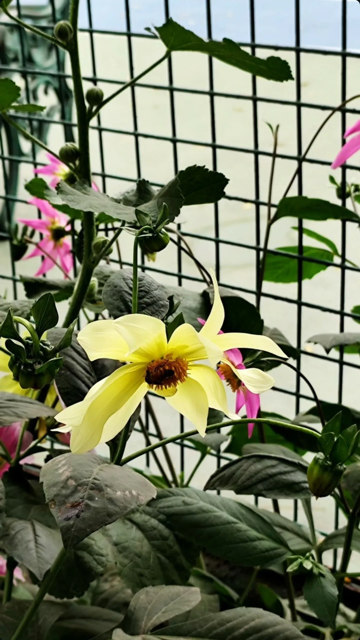 Nature beauty