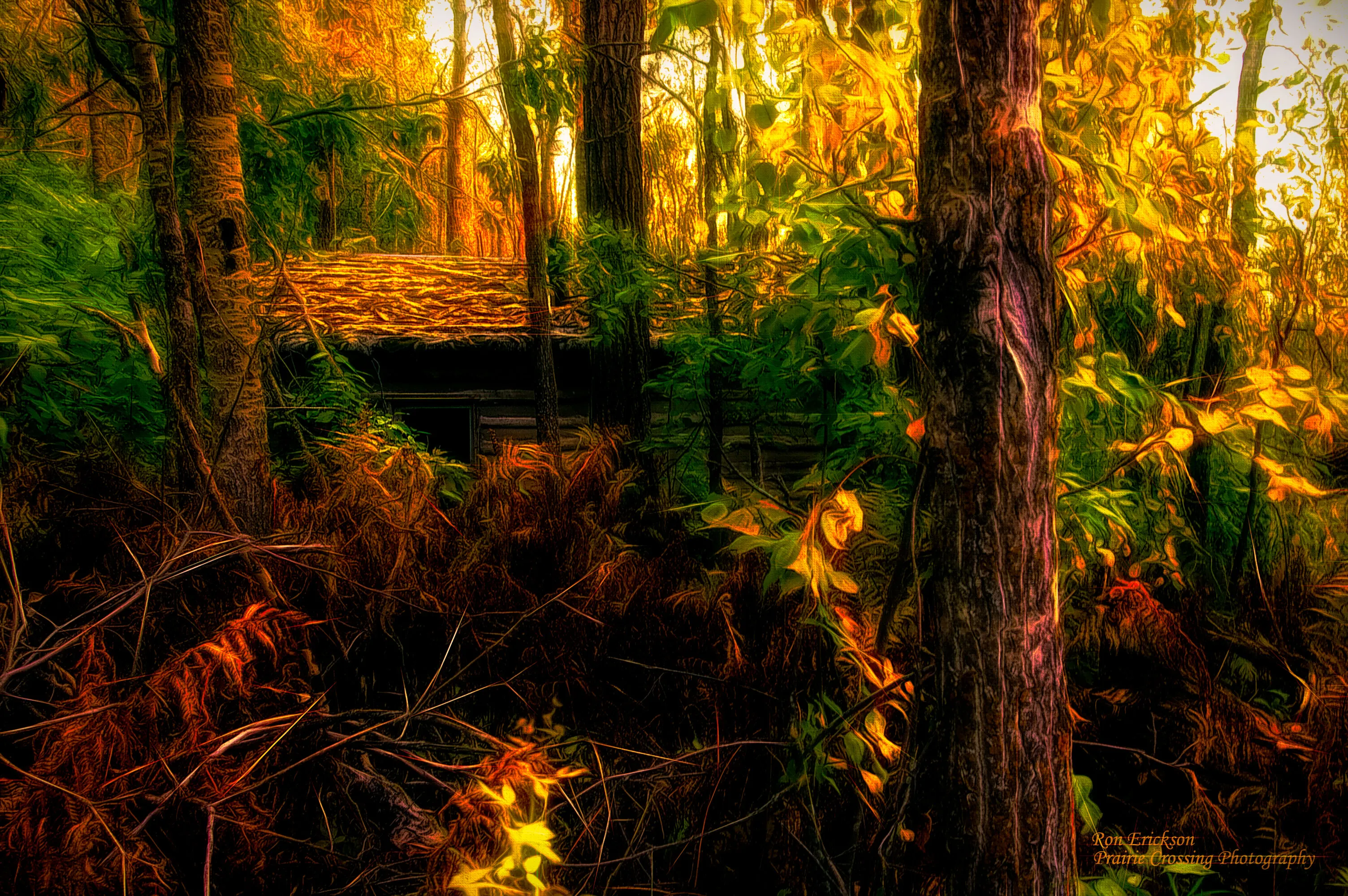 Hideout
