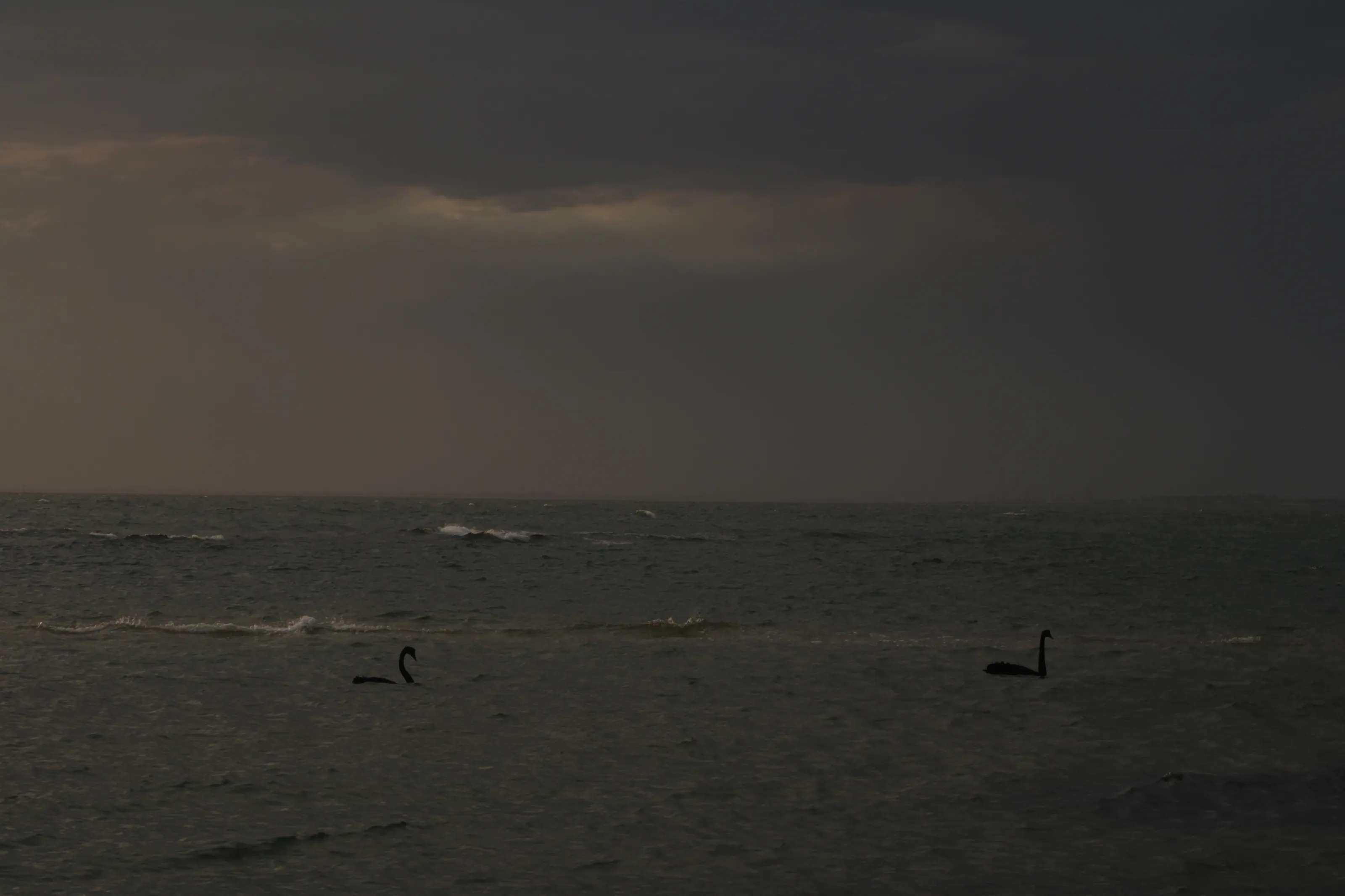 Any port in a storm