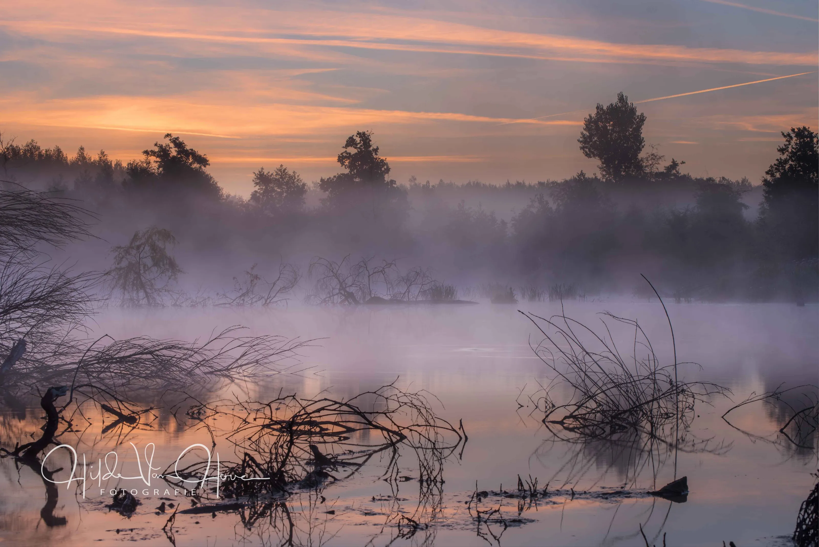 mist
