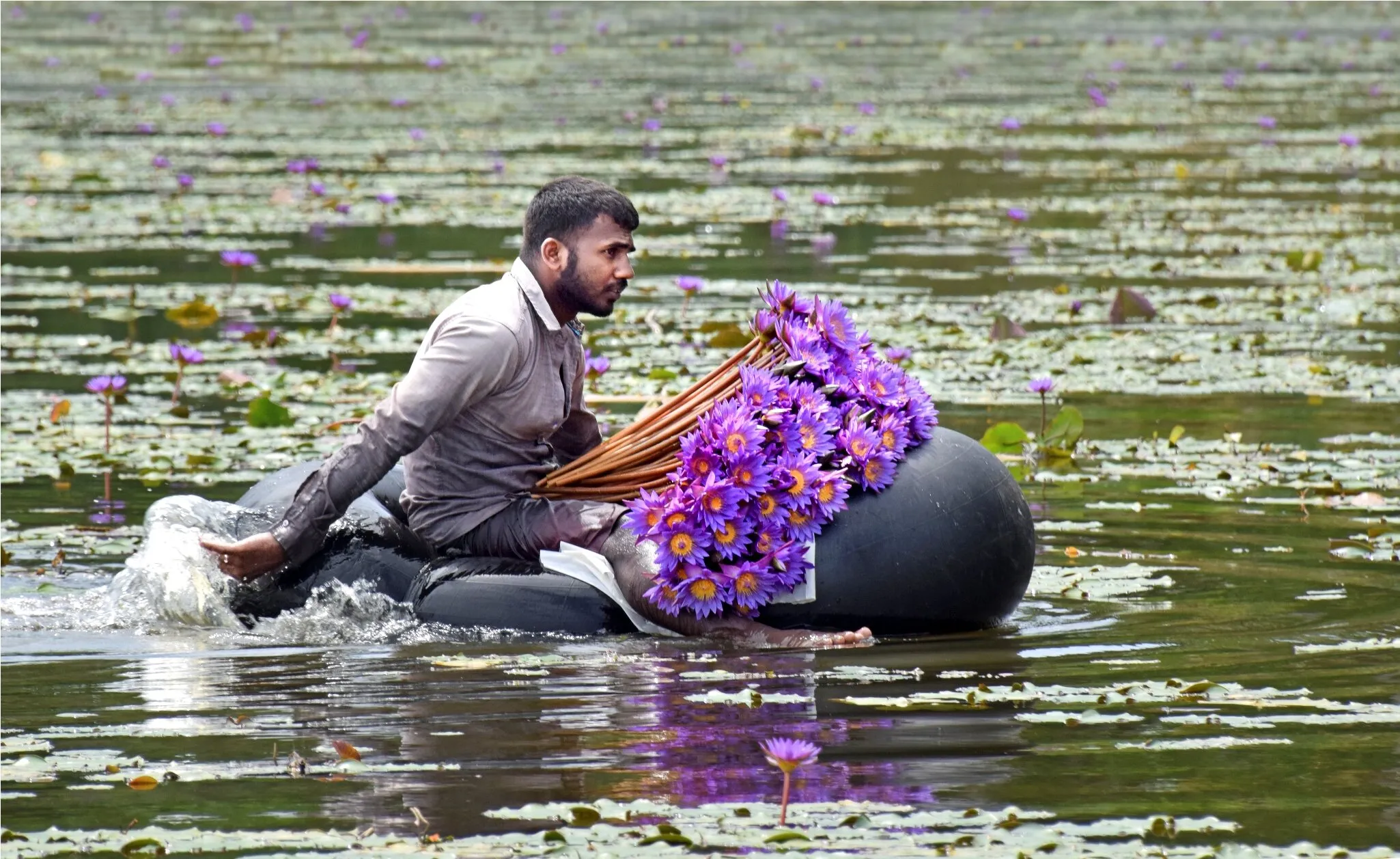 flower picker