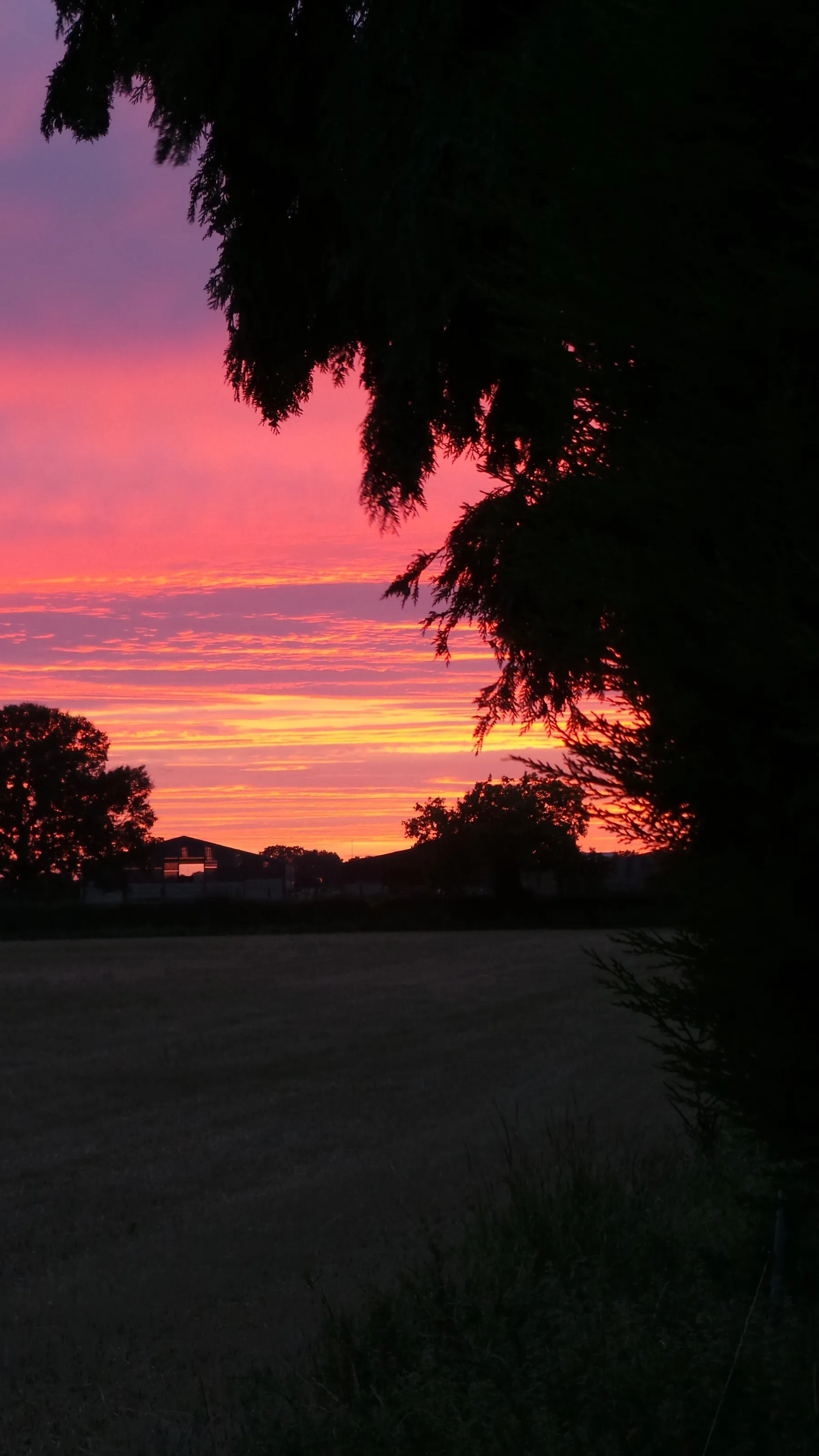 Sunset Silouette
