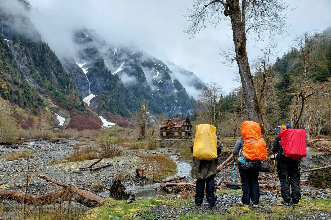 Entry 23576511