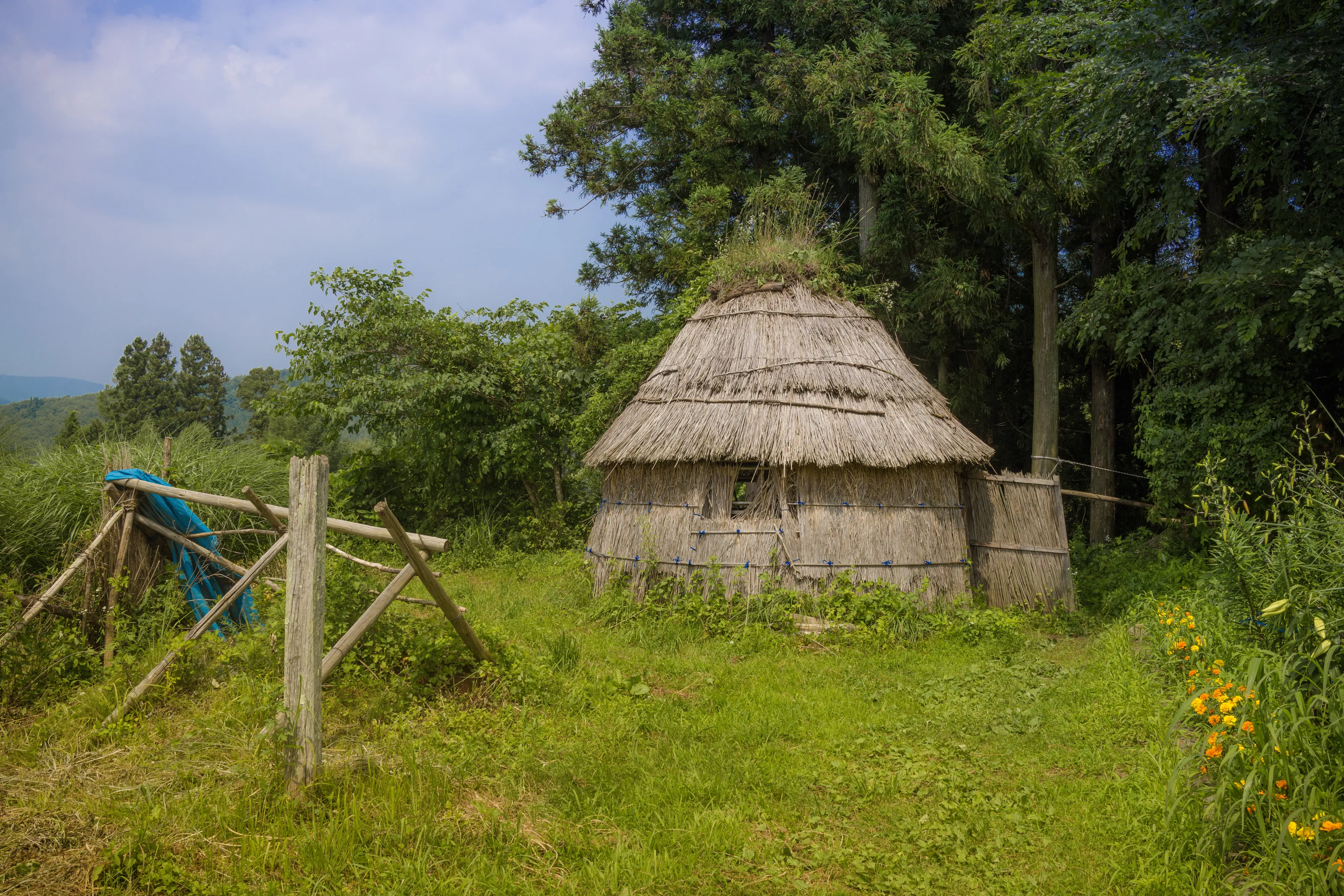 Thatched roof shack