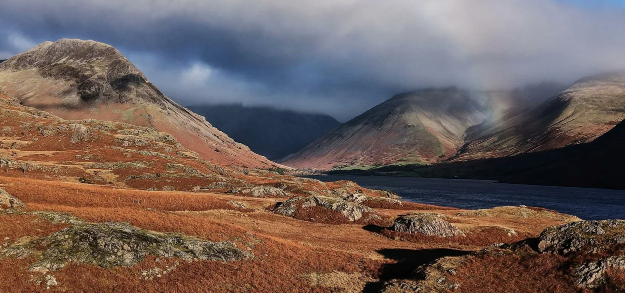 Entry 23588213