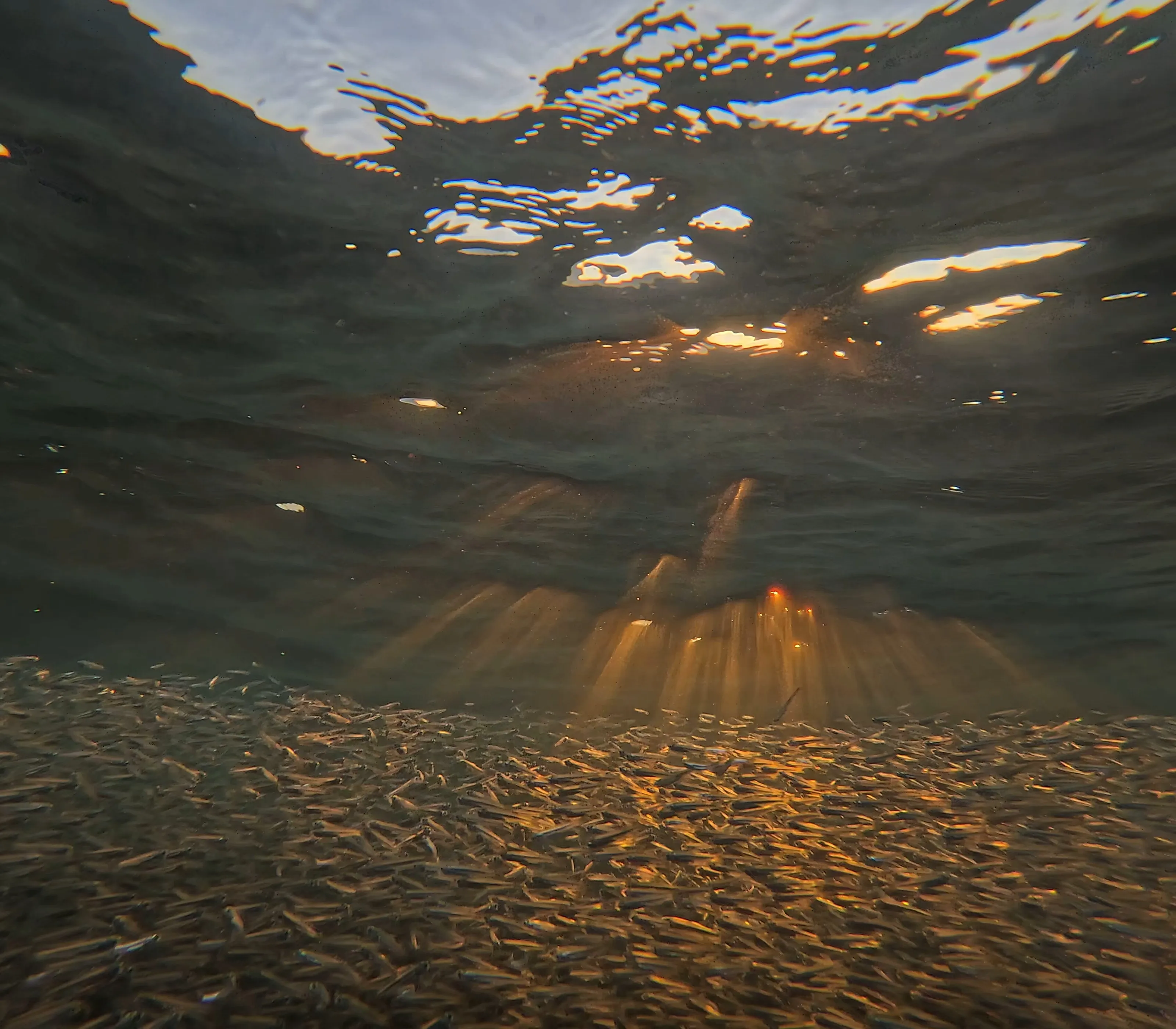 Under the Water Sunset