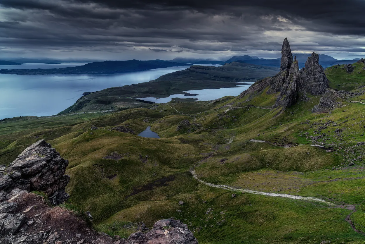 Entry 26267611