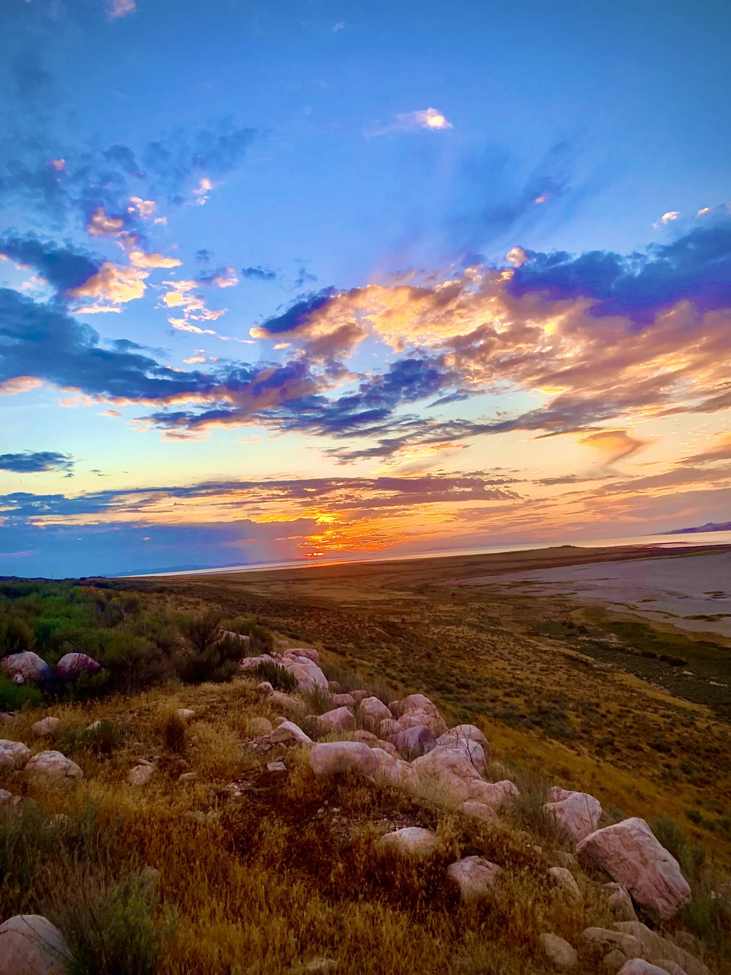 Desert Sunset