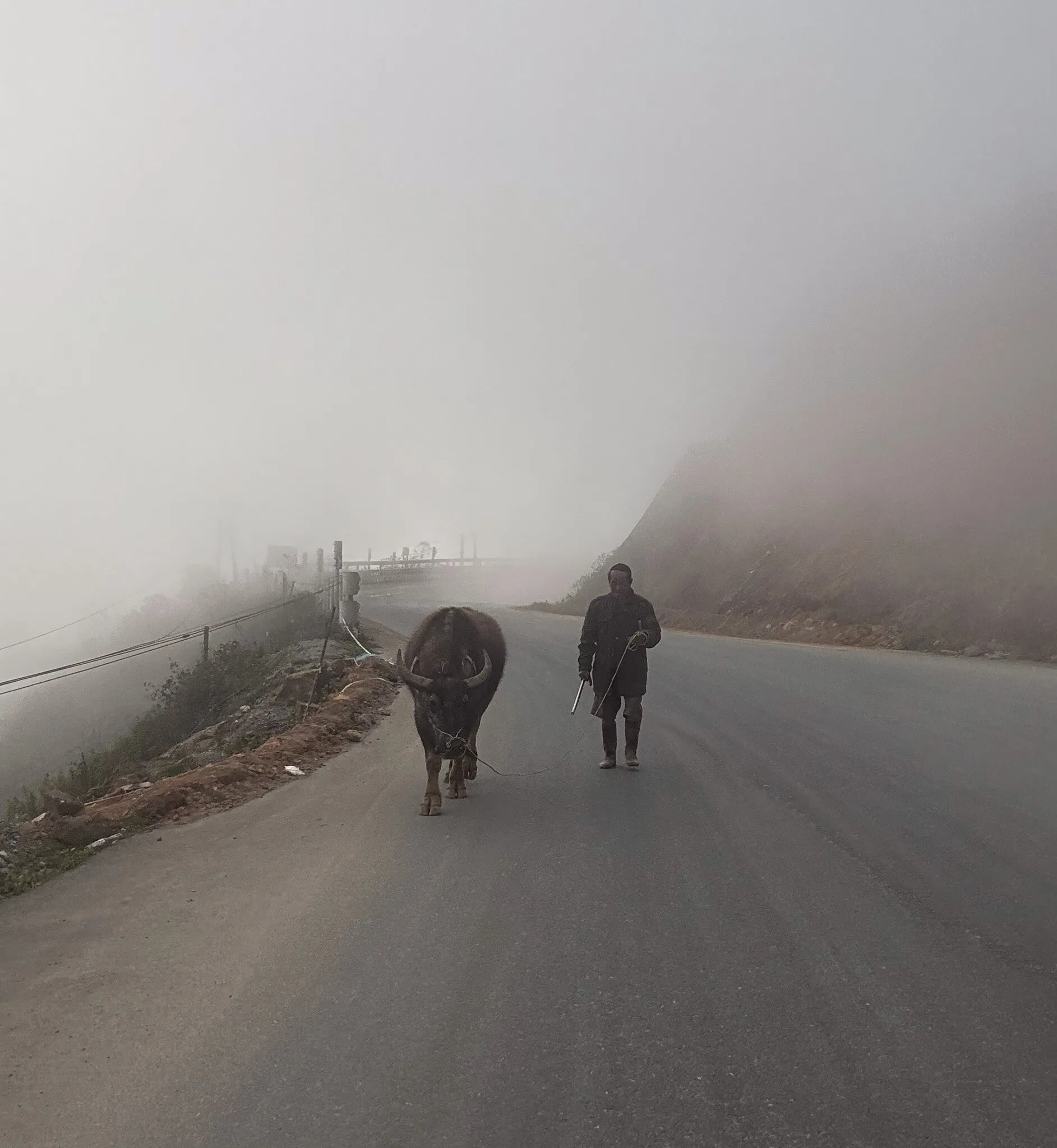 hazy days