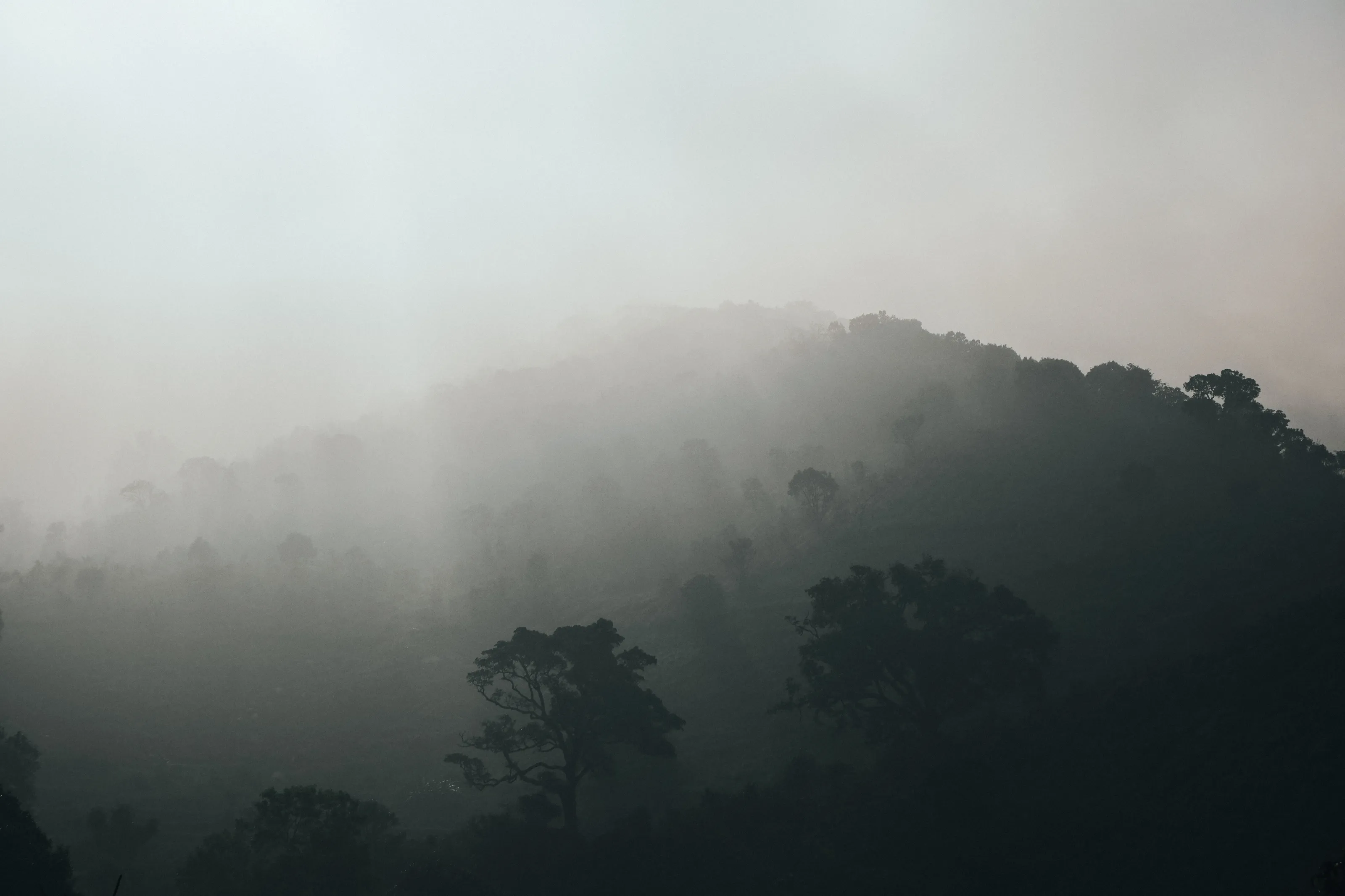 Misty Hills at Dawn