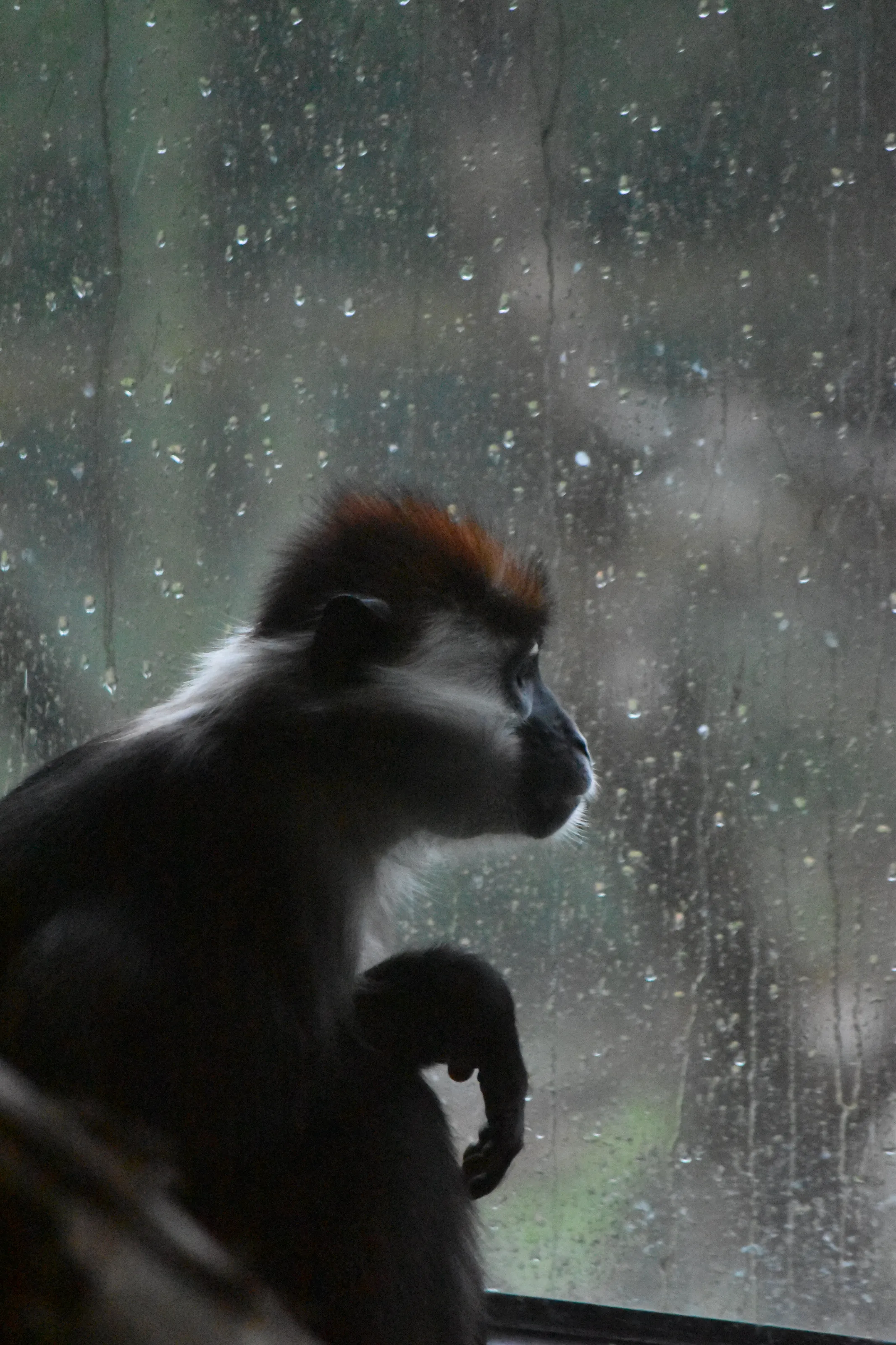 Longing
