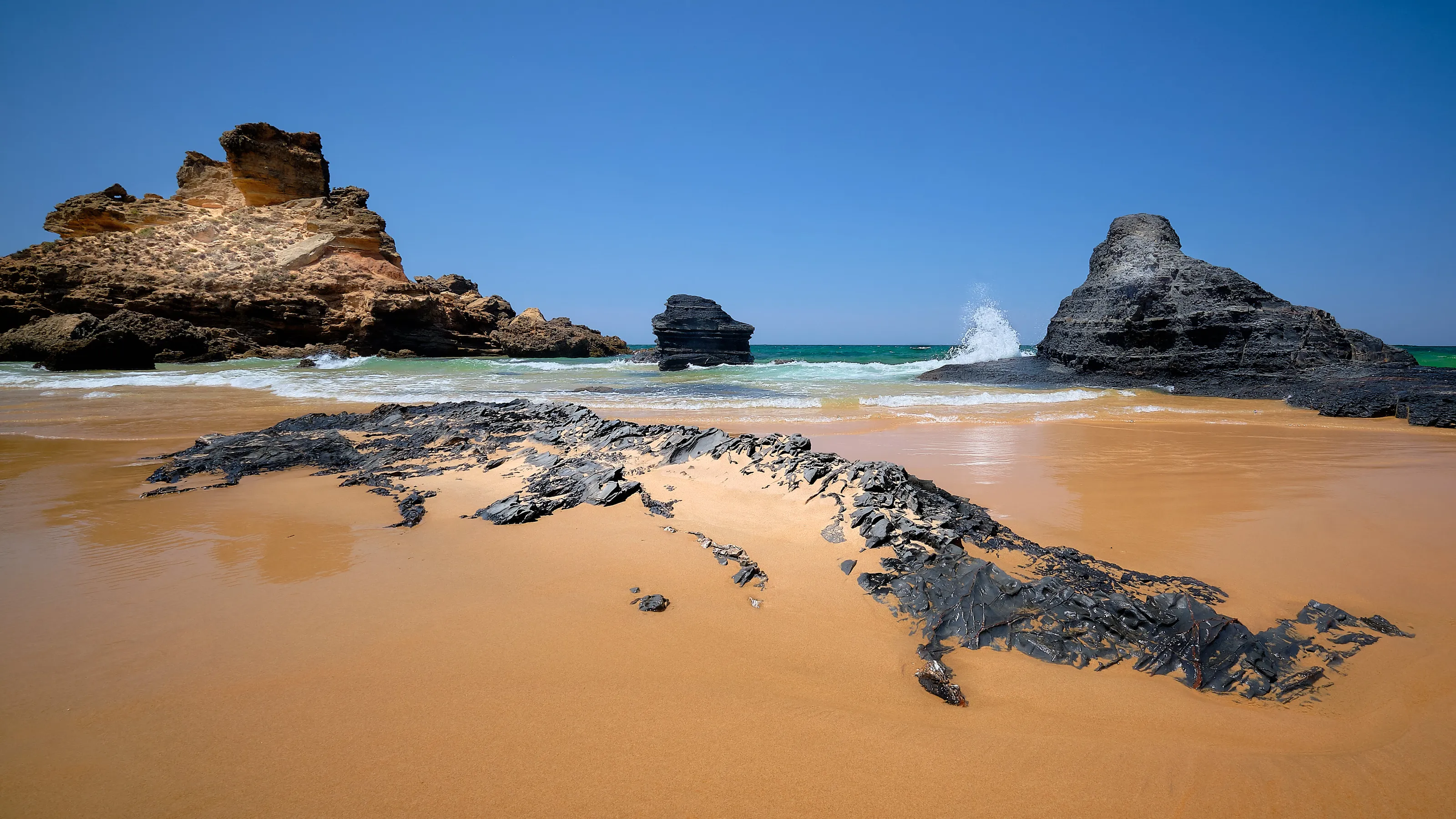 Coastal Landscape