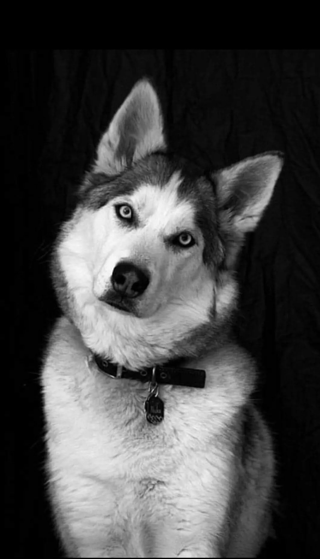 Nuka