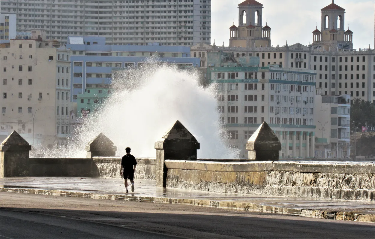 Entry 27512780