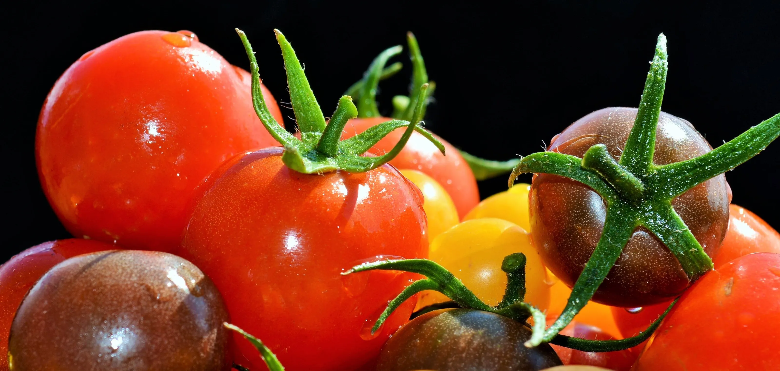 delicious toms