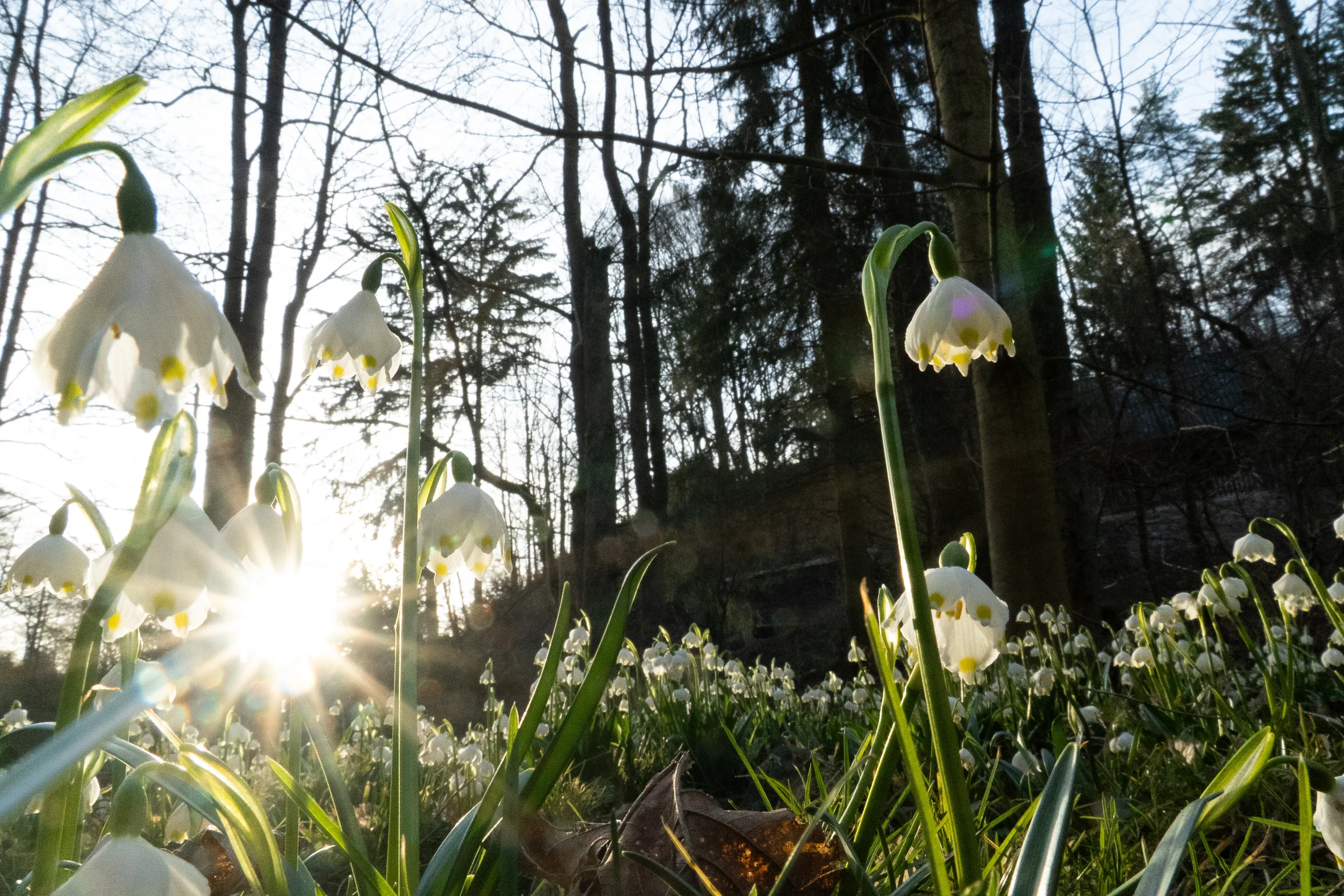 Spring is waking up