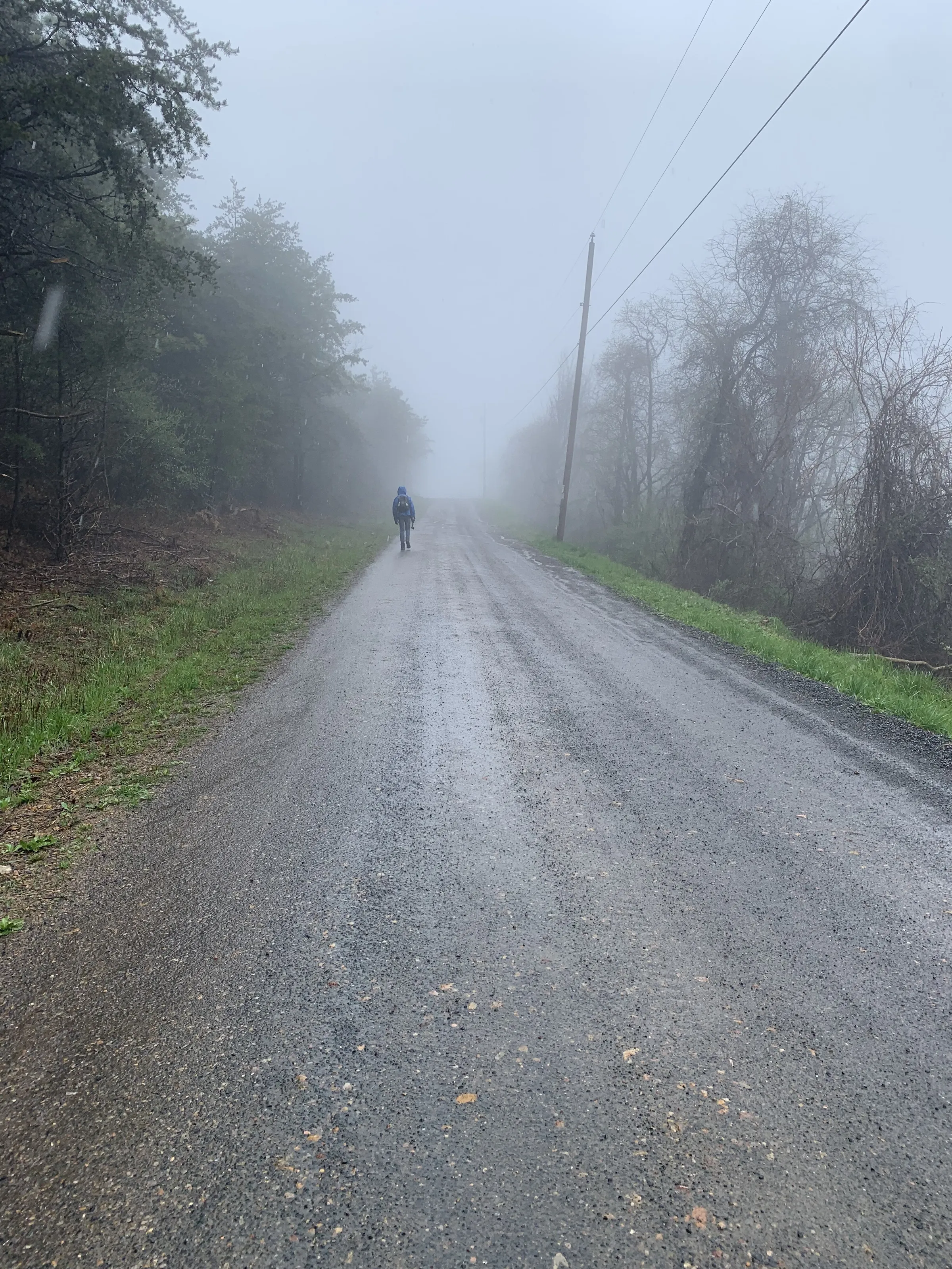 Man, walks into fog?