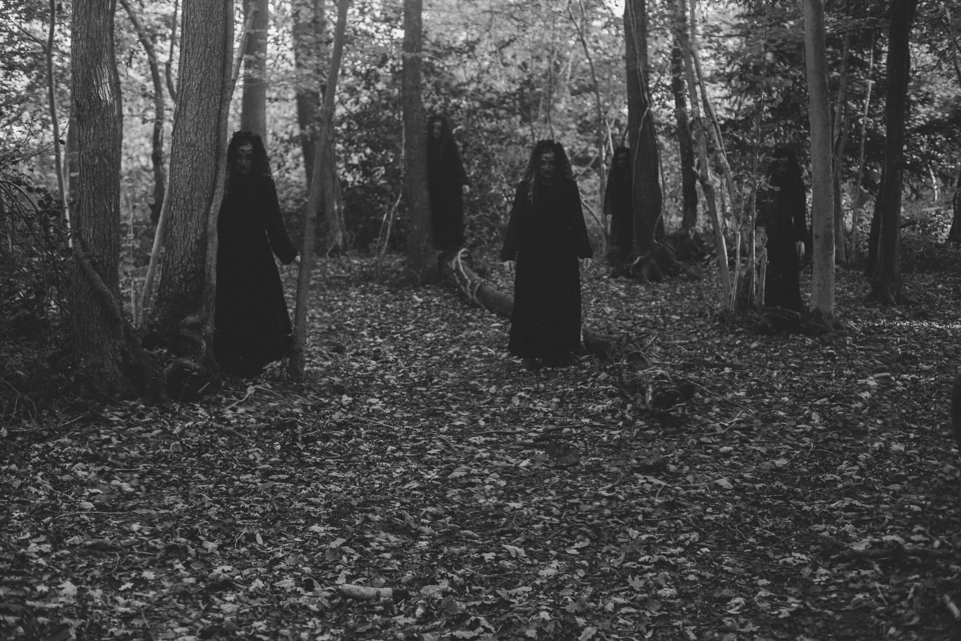 Dark figured in the woods