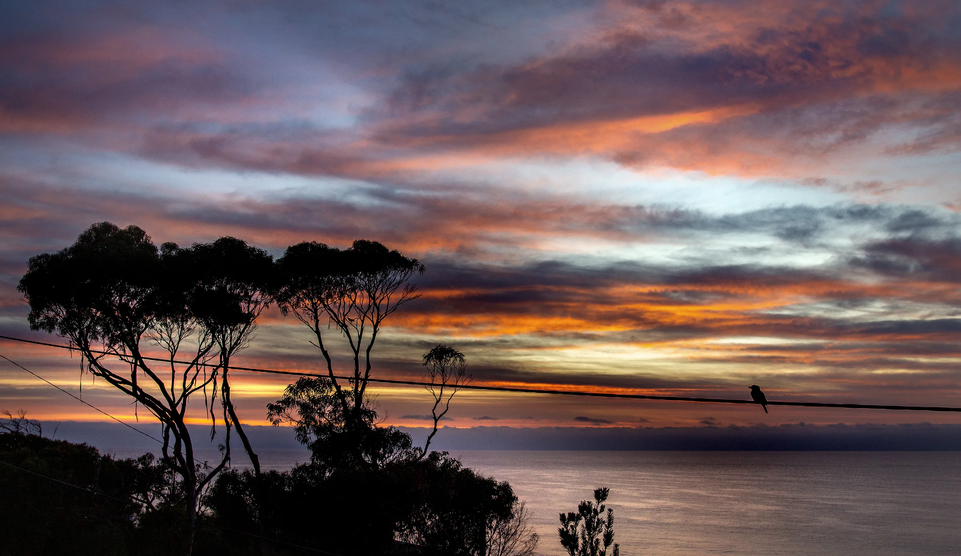 Sunrise with Kookaburra