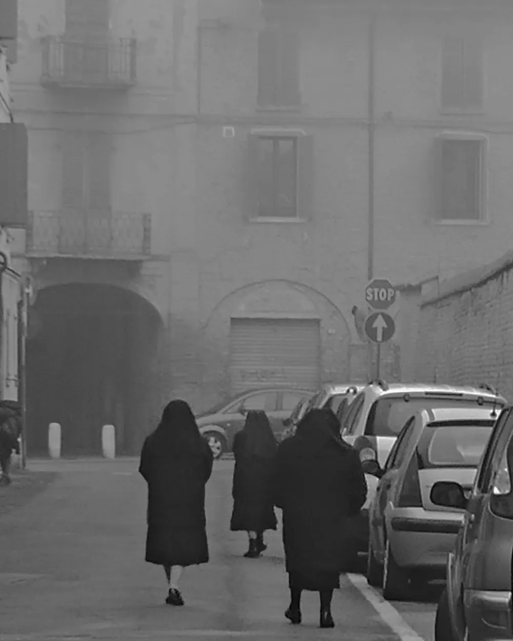 Entry 26003503