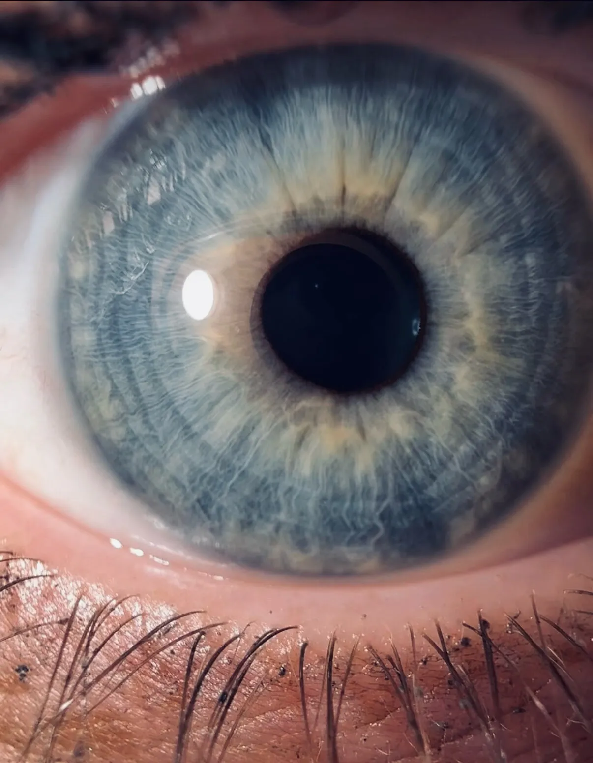 Words of the eye