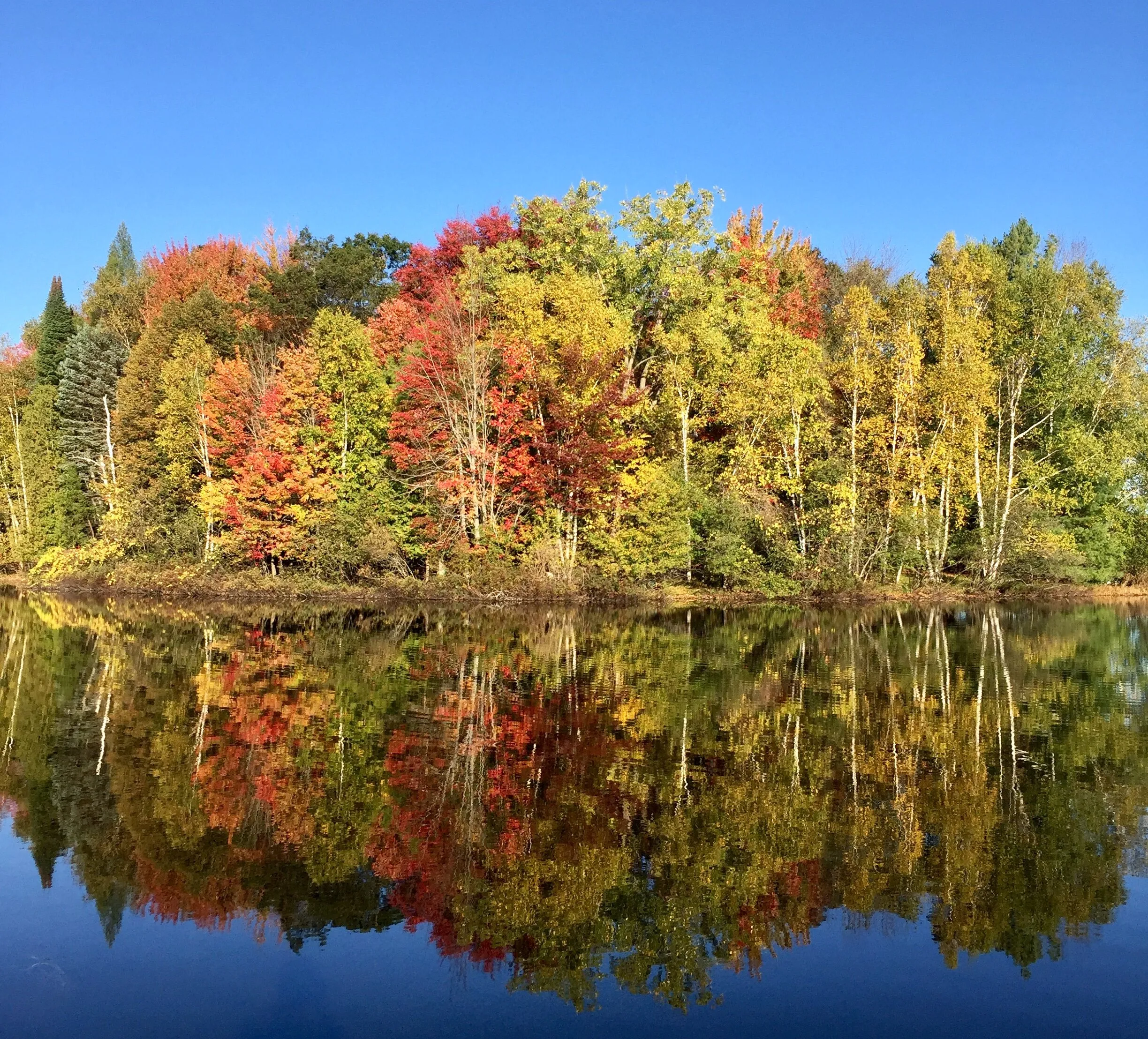 Autumn Reflections